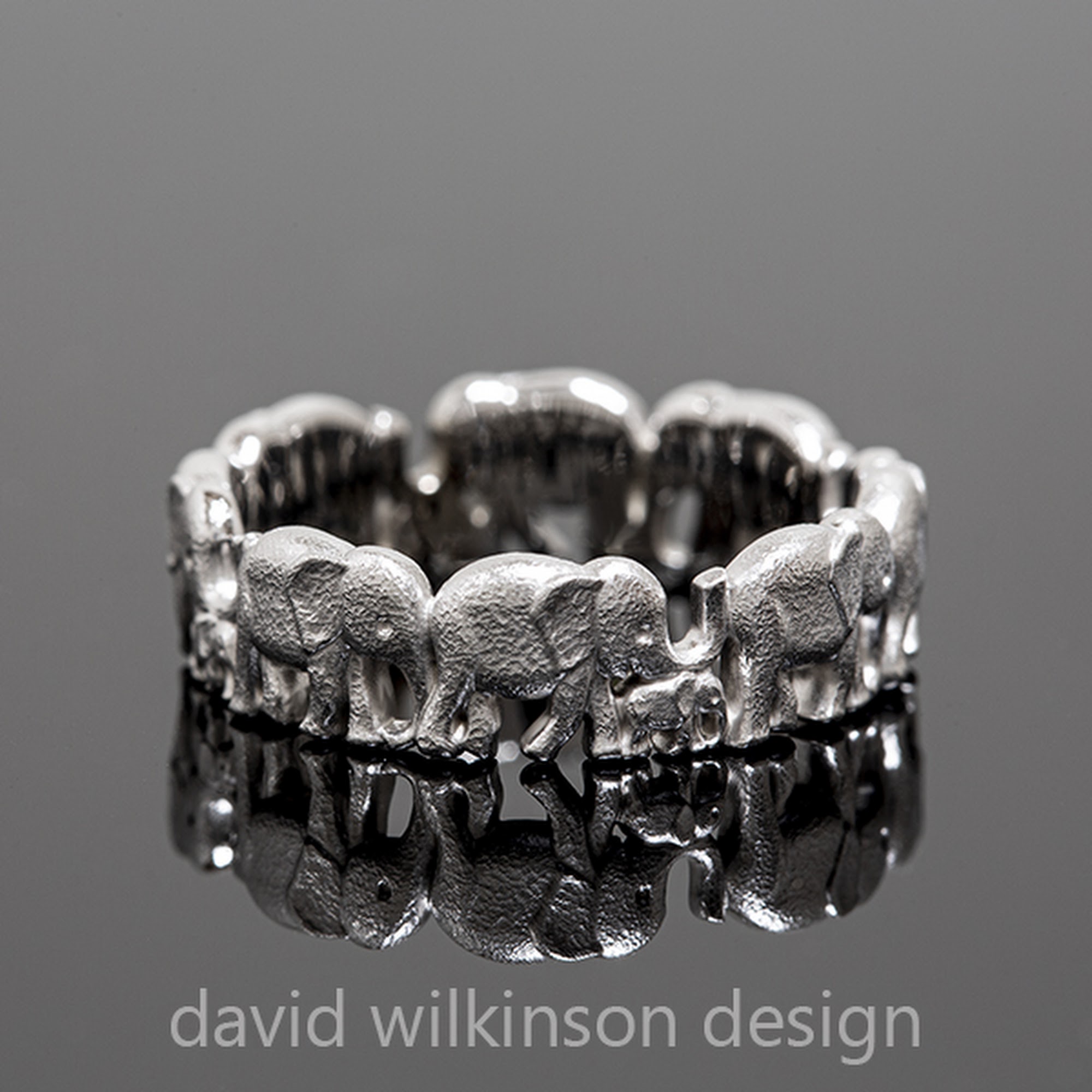 David Wilkinson Design