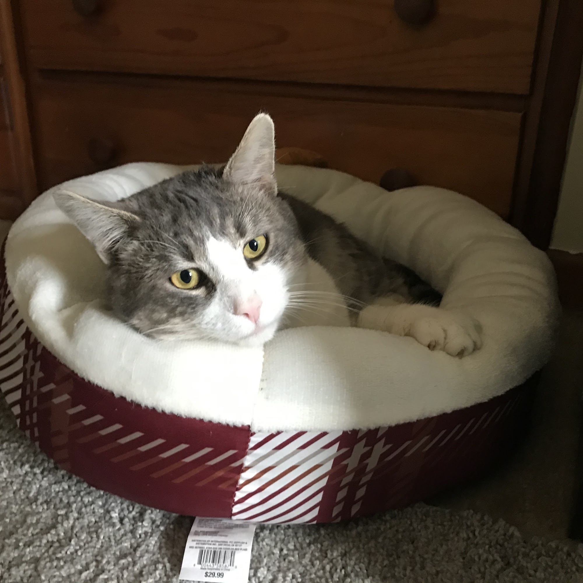 Oakland Park Animal Hospital, LLC Columbus