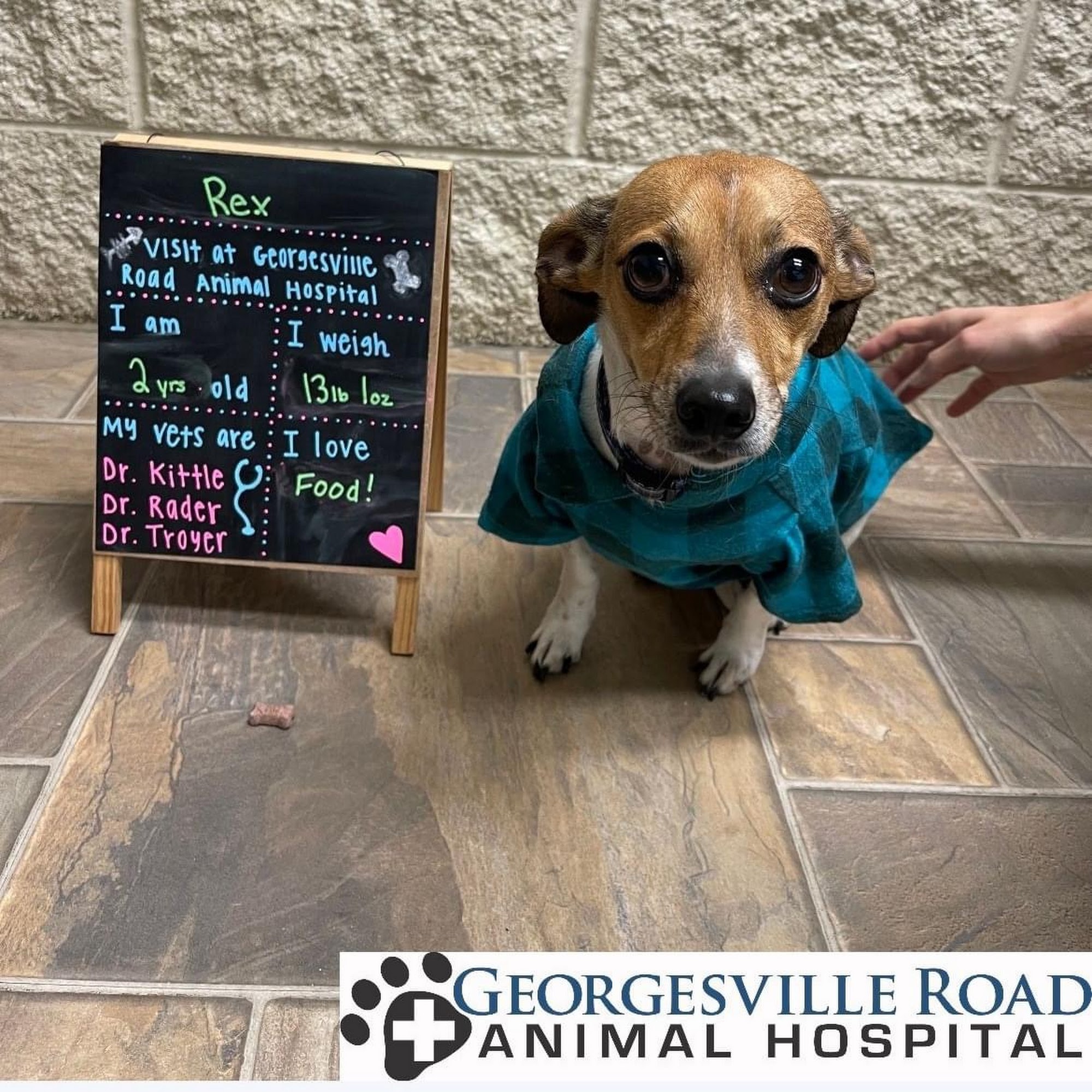 Georgesville Road Animal Hospital Columbus