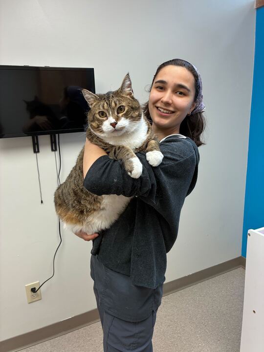Purrfect Care Feline Medical Center Columbus