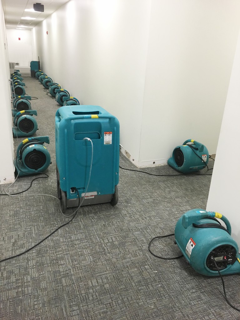 Arya Carpet & Upholstery Care and water Damage Restoration
