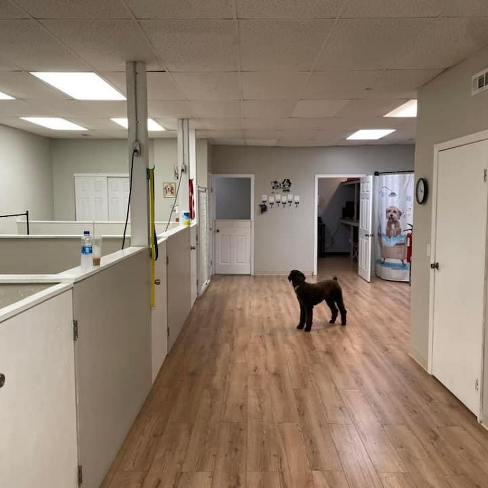 Mills Family Pet Grooming LLC Columbus