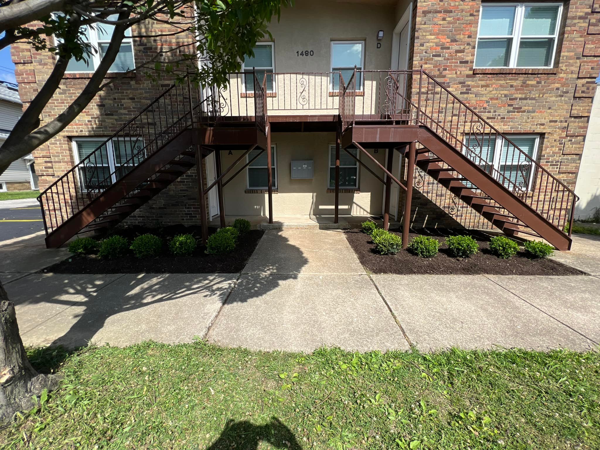 CLEANLAWN
