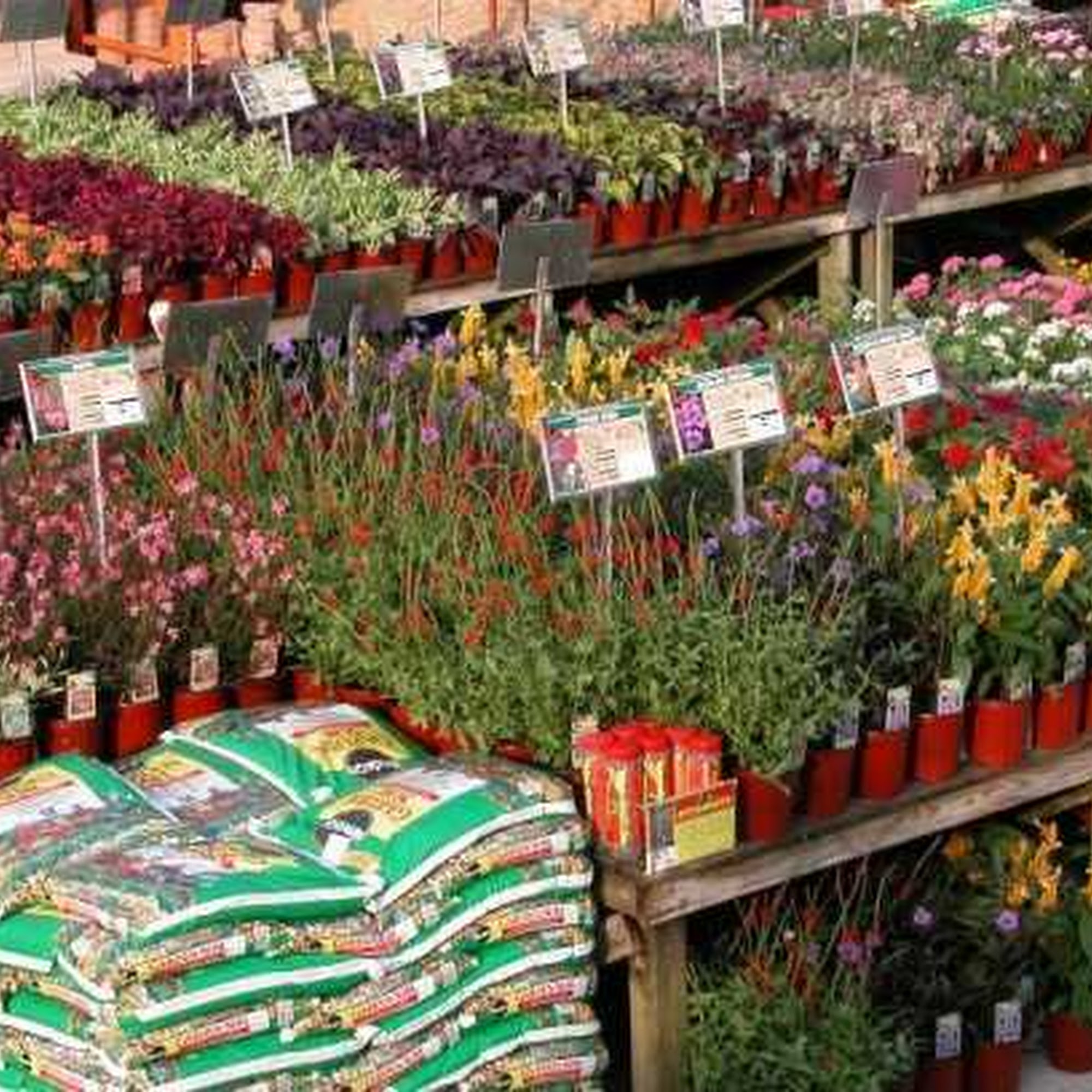Garden Center at The Home Depot Columbus
