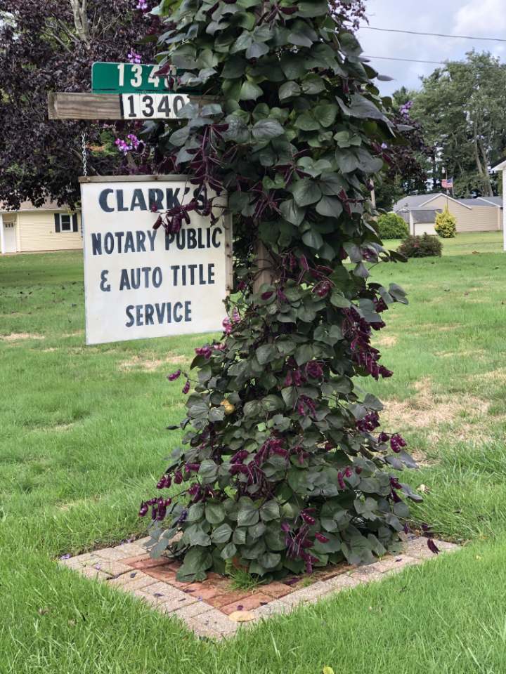Lorinda Clark-Notary & Auto 1340 Lake Rd, Conneaut Ohio 44030