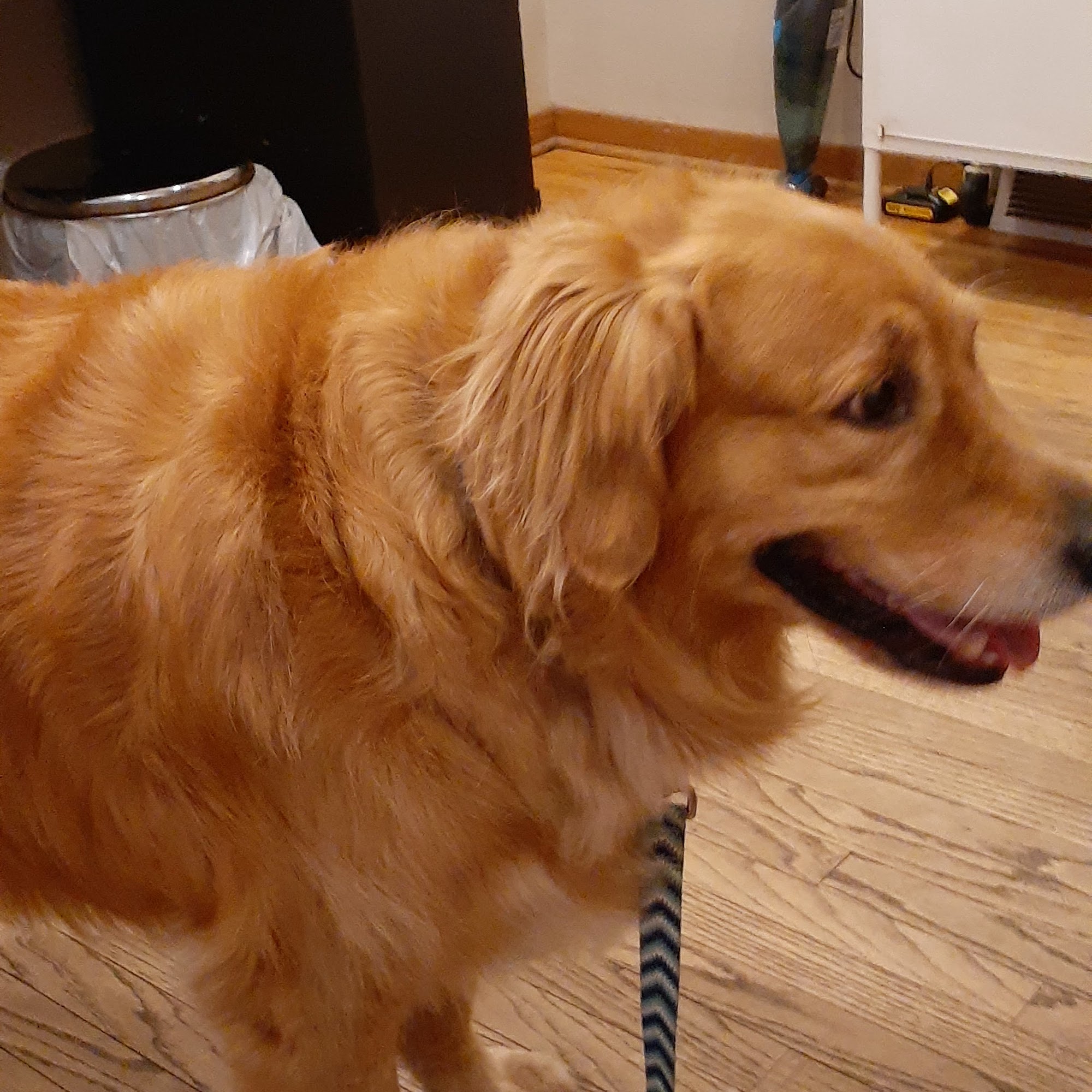 Coshocton Veterinary Clinic LLC Coshocton