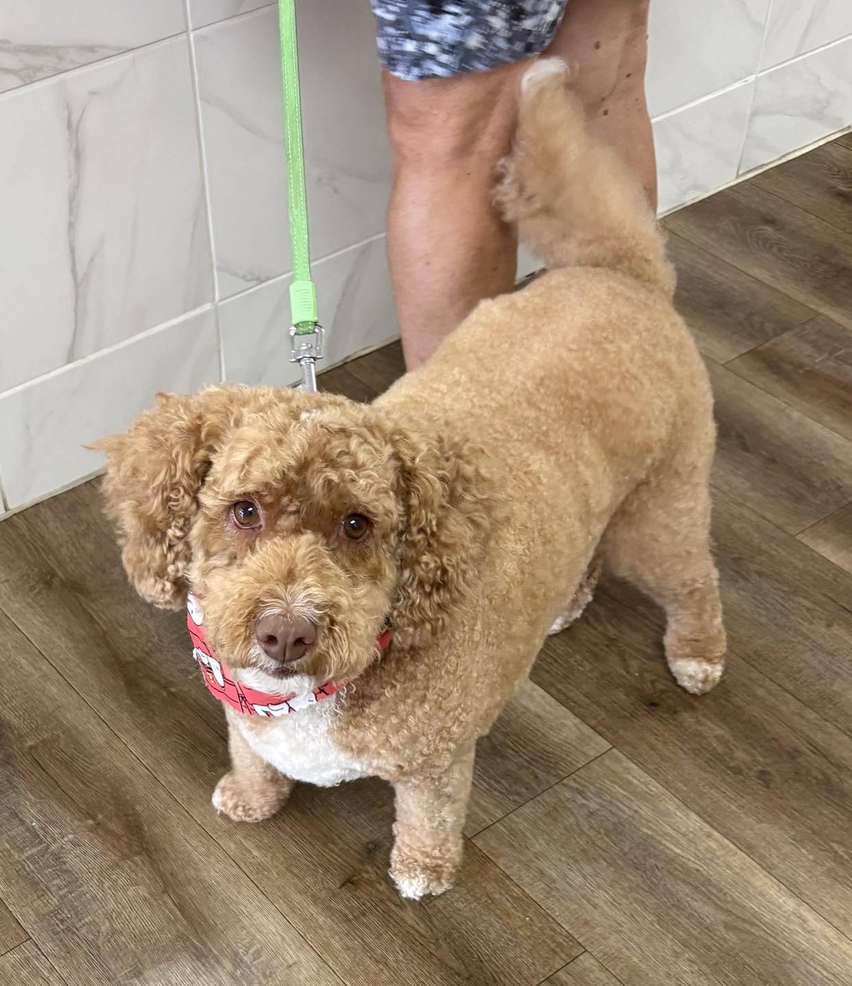 A-1 Kennel Care Inc. Coshocton