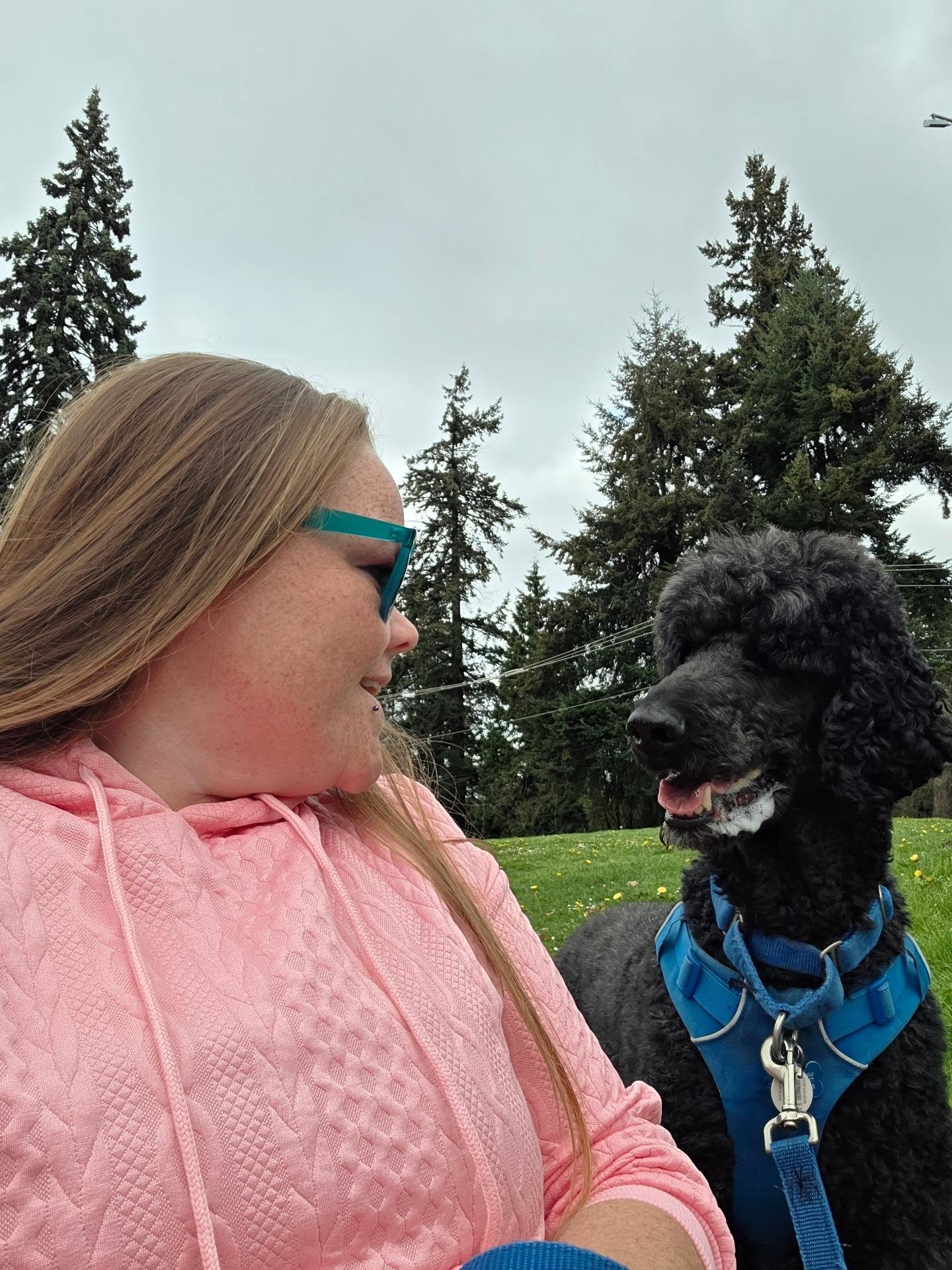 The Magnolia Dog Training Company, LLC Crestline