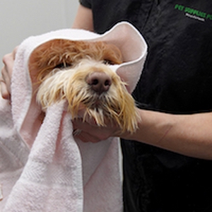 Pet Supplies Plus Cuyahoga Falls Cuyahoga Falls