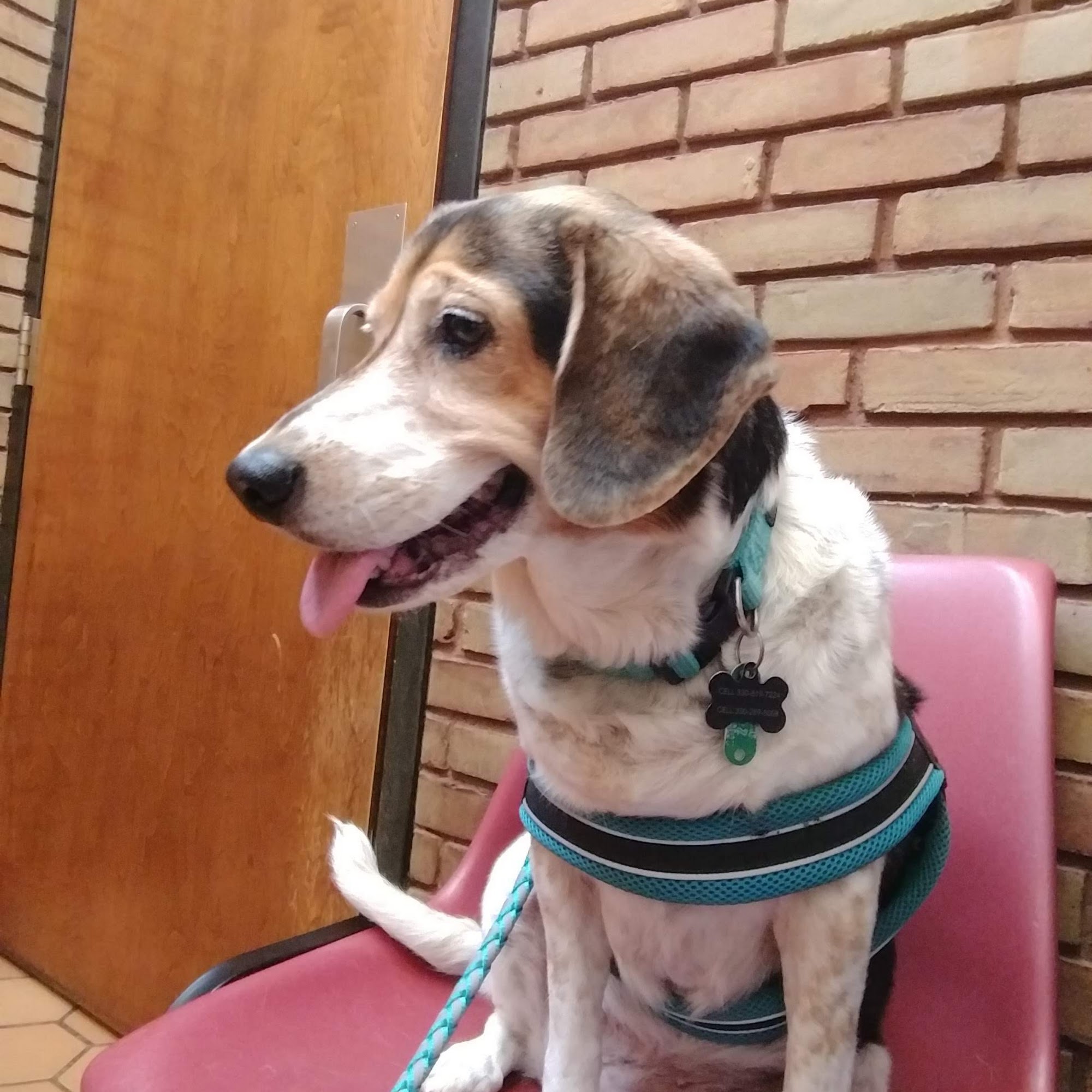 Graham Road Animal Hospital Cuyahoga Falls