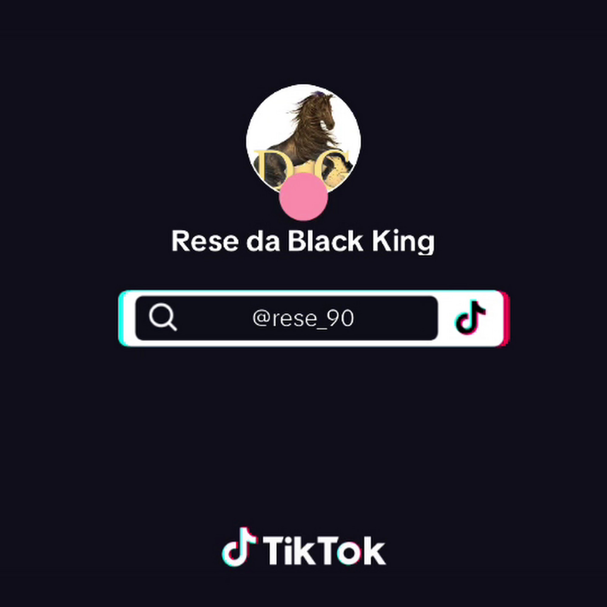 North Main Animal Clinic: Adkins Linda DVM Dayton