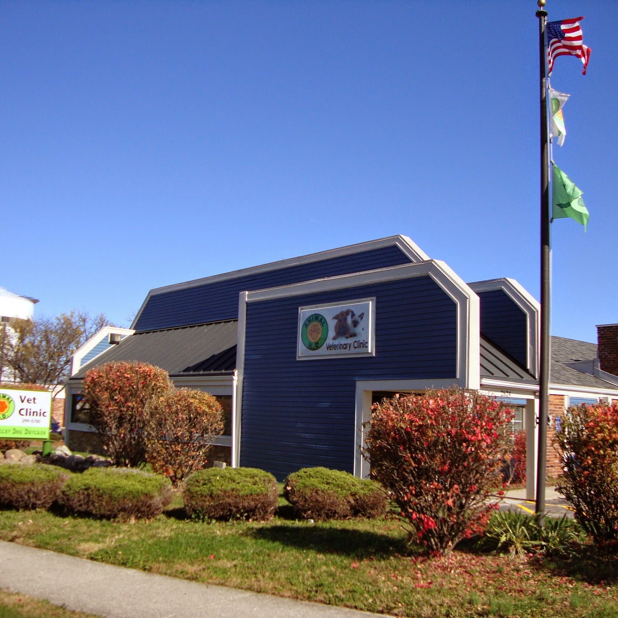 Animal MD Michelle Bahns DVM Dayton