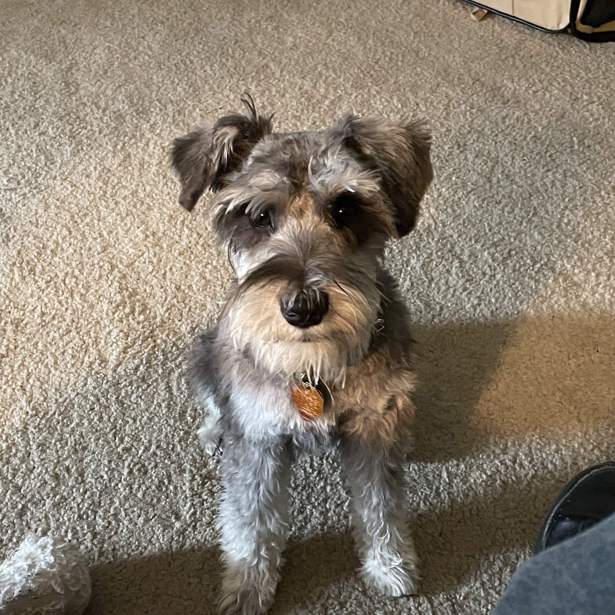 Oakwood Veterinary Clinic Dayton