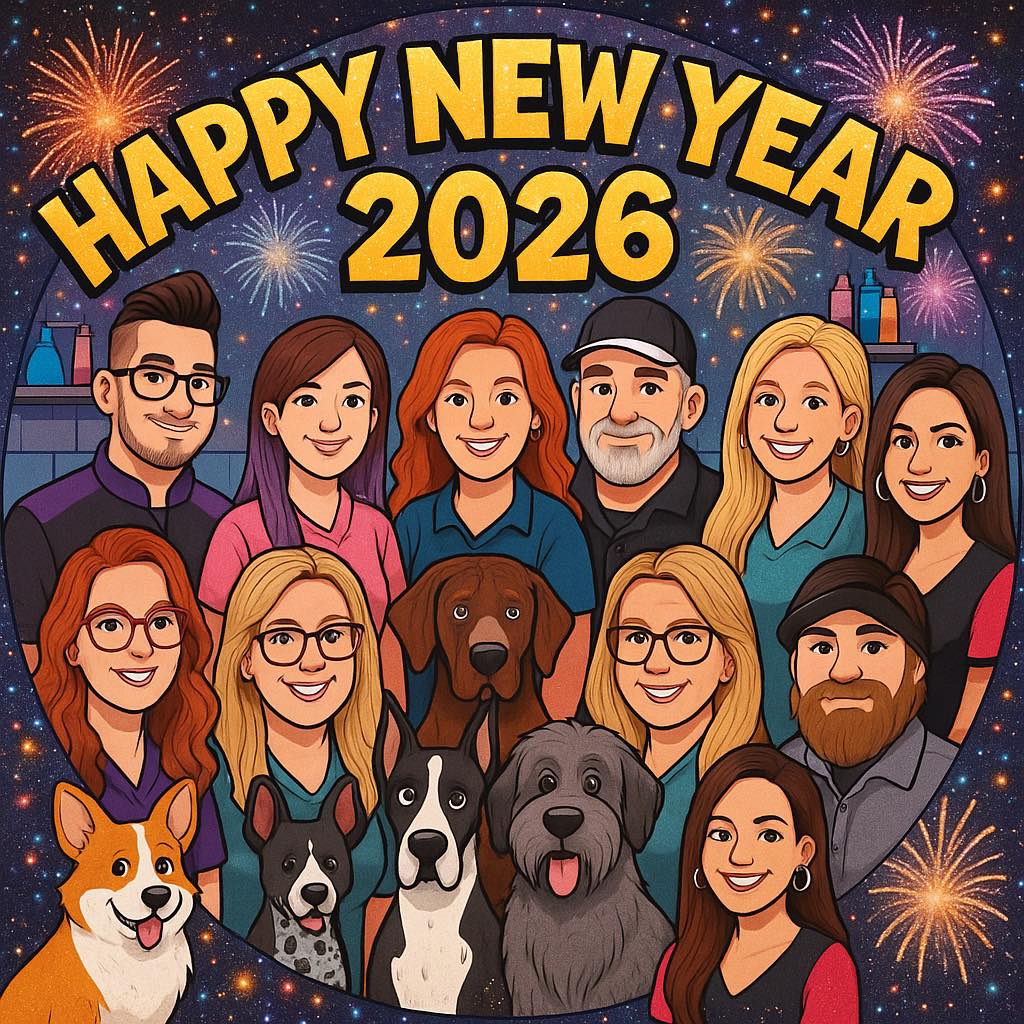 Animal Castle Dayton