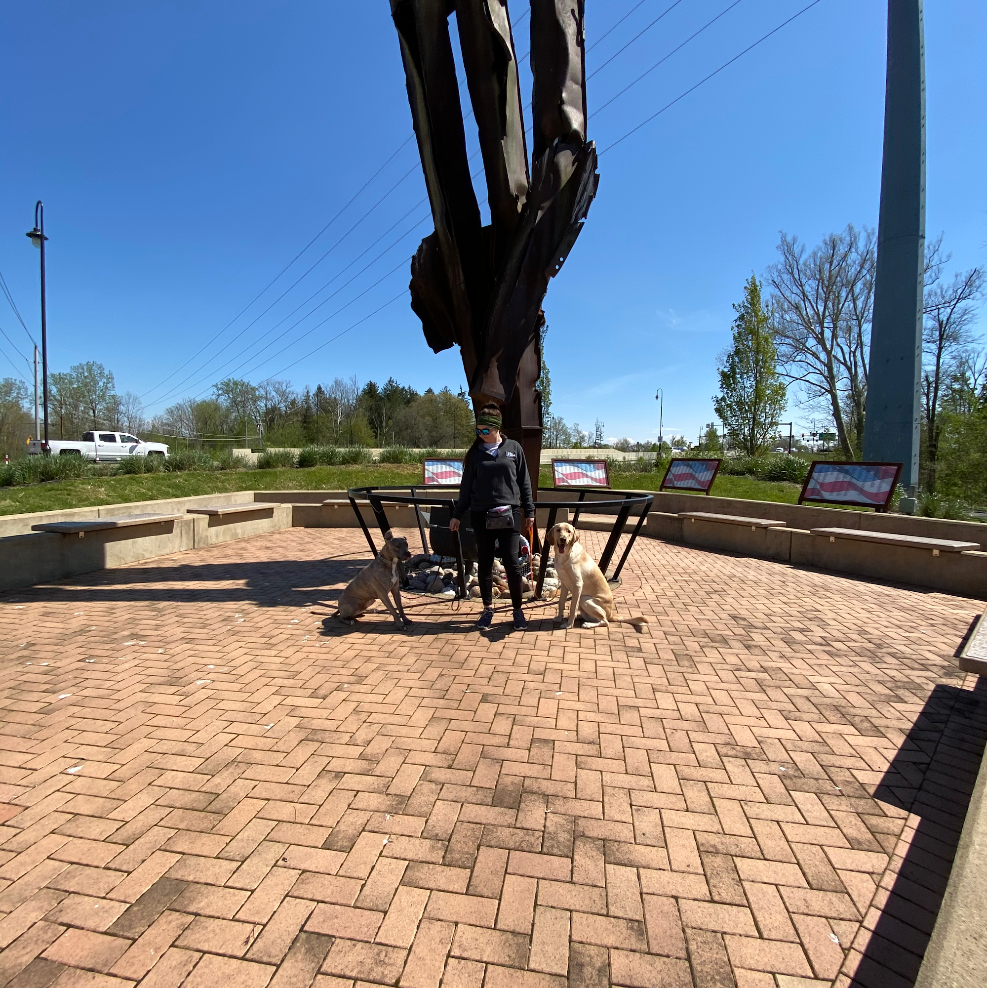 The Dog Wizard Dayton Dayton