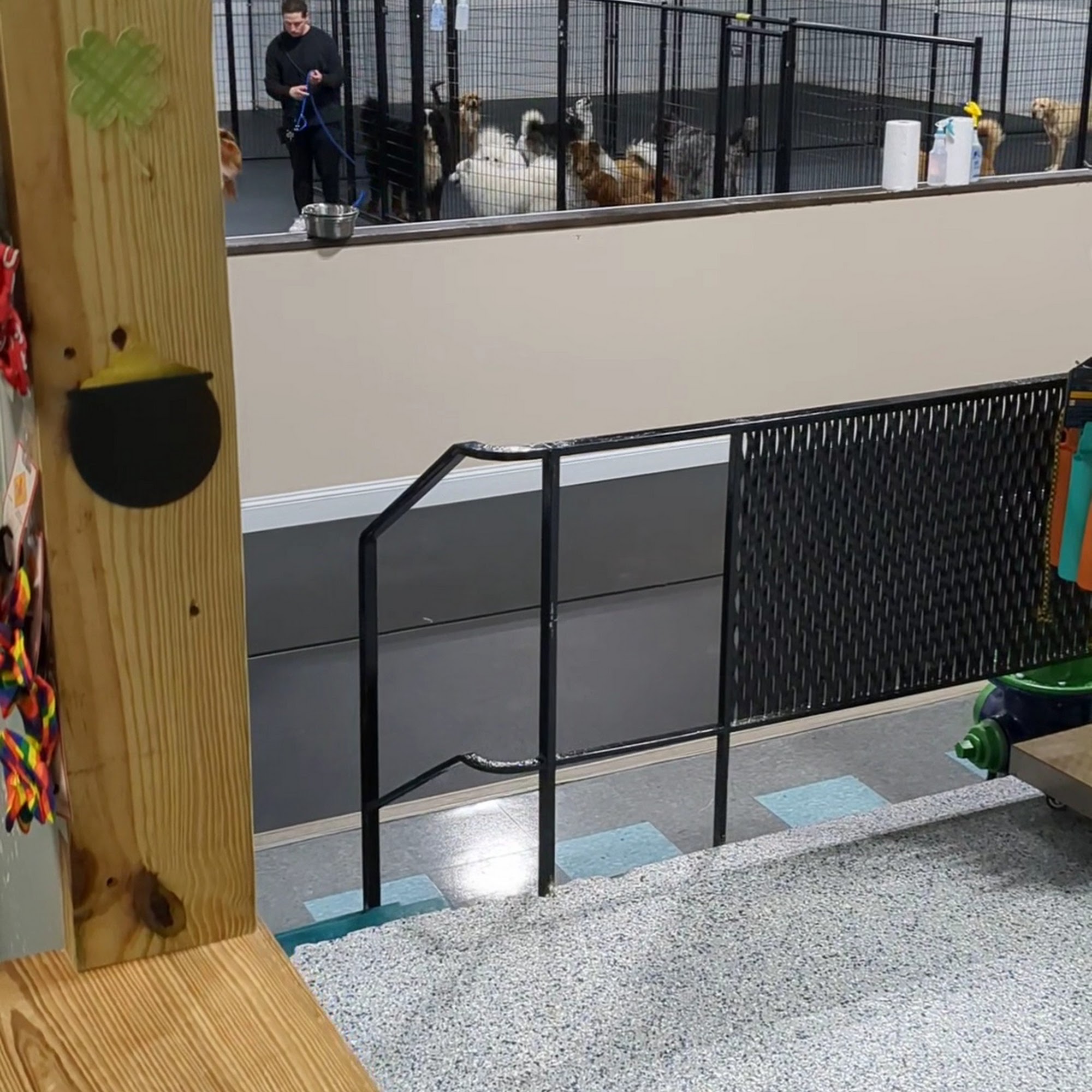 Flyer's Paw Zone Dayton