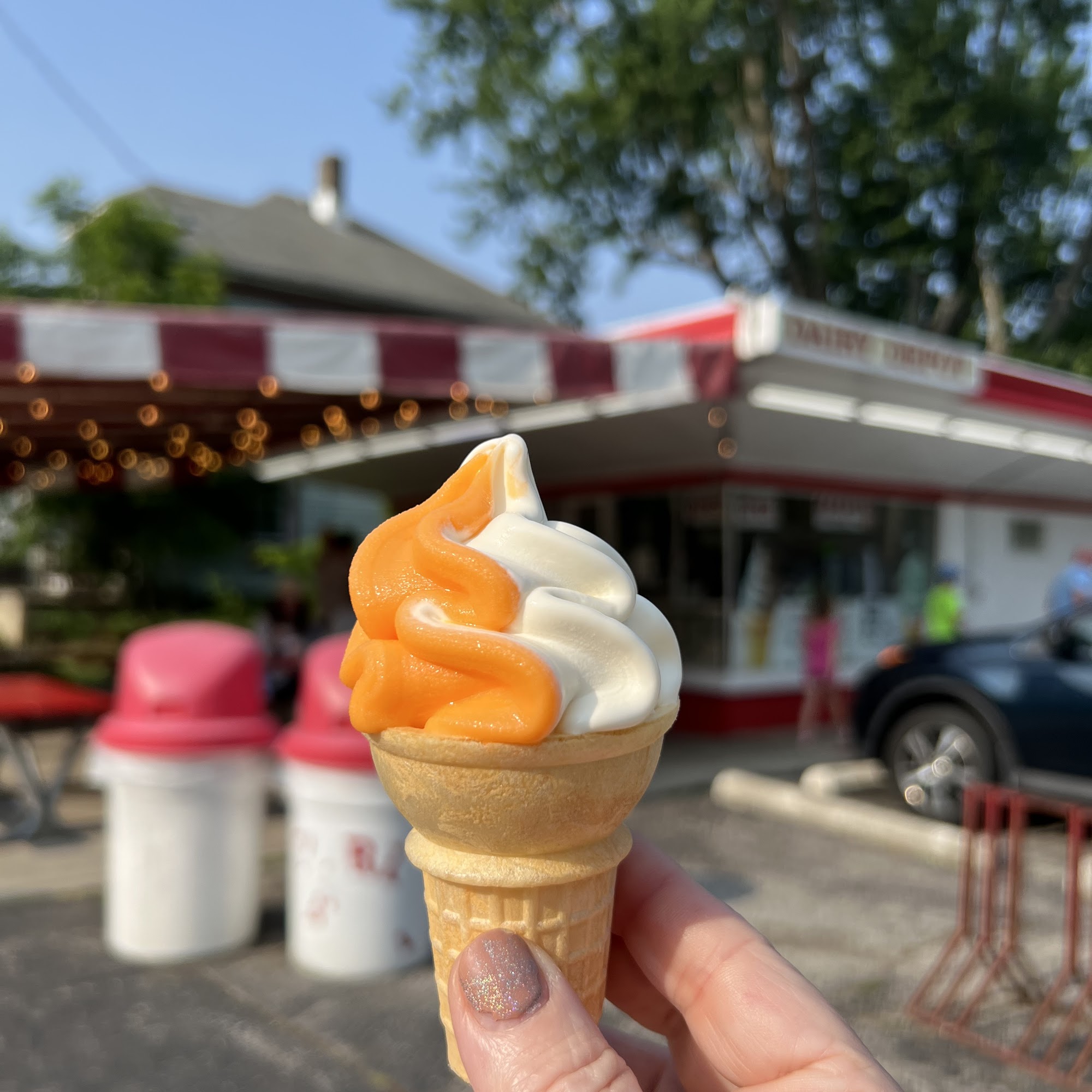 Dairy Depot Delaware