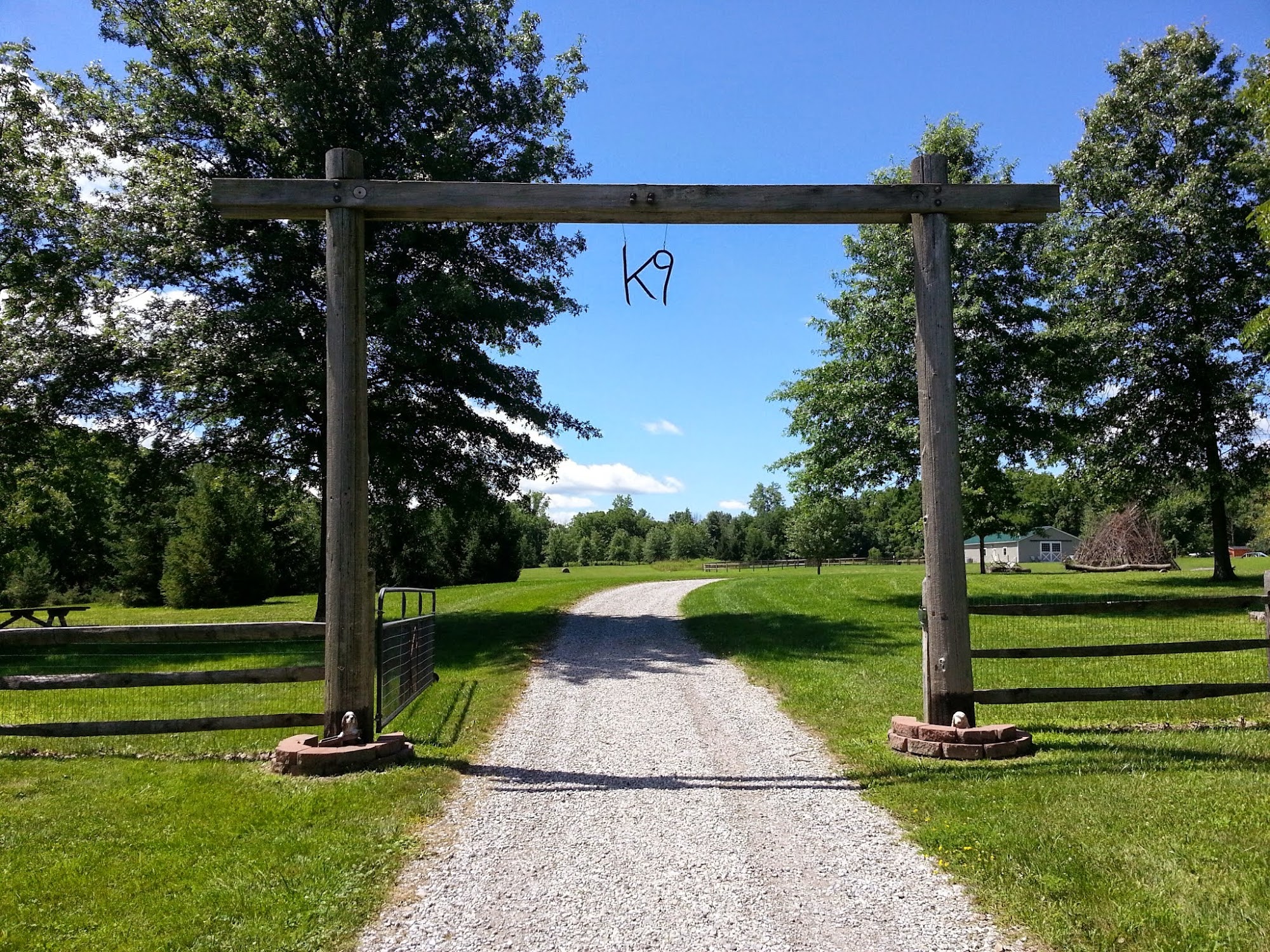 K9 Ponderosa Ranch 3269 State Rte 37 W, Delaware Ohio 43015