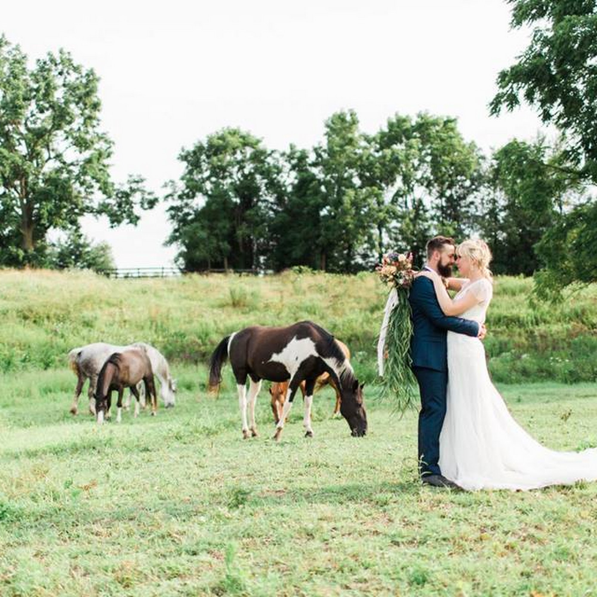 The Farm at Harvest Hills