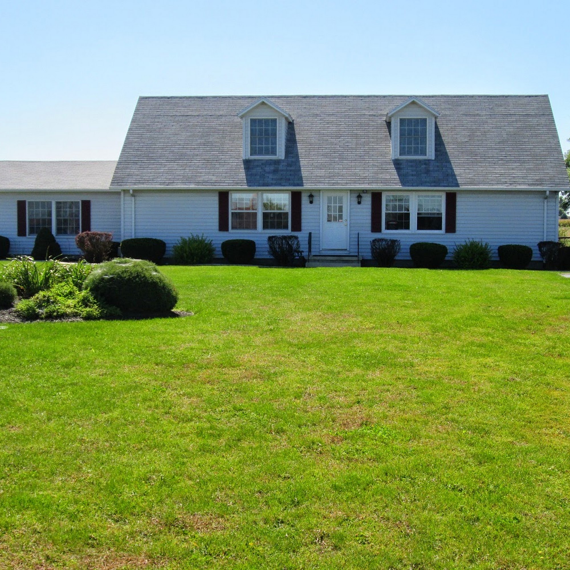 Delphos Animal Hospital Delphos