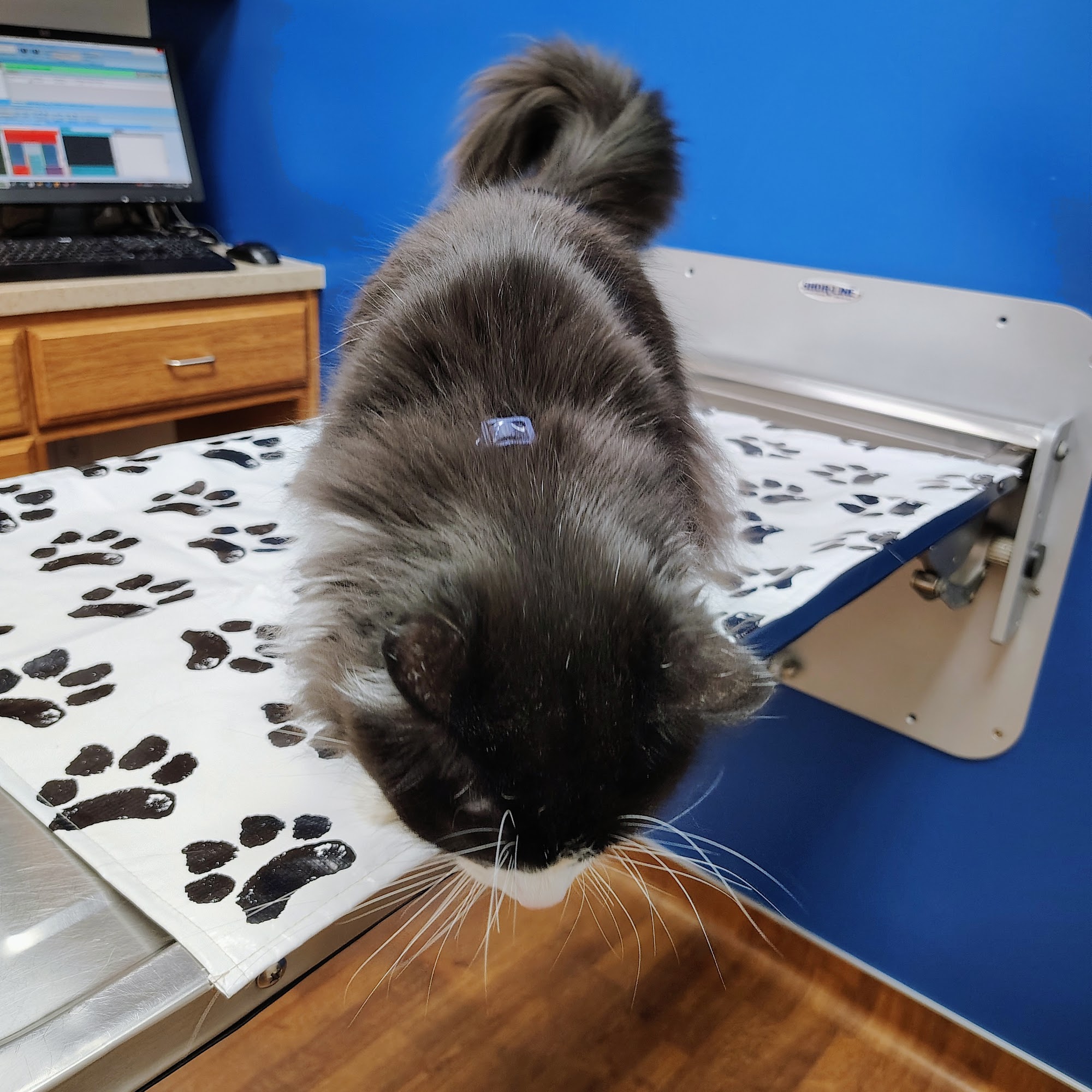 Kessen Veterinary Clinic Delphos