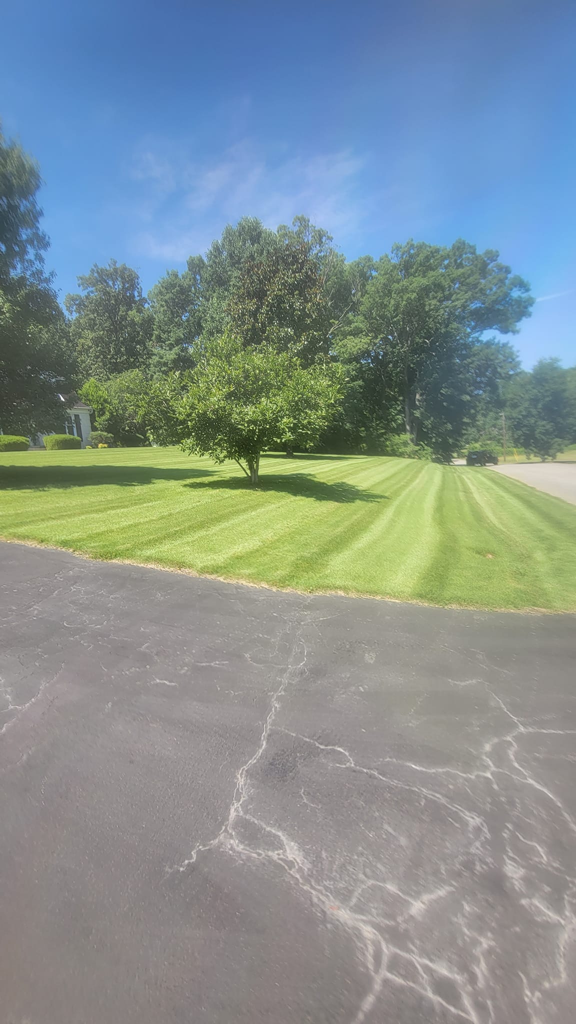 Todd's Lawns Mowing & Landscaping