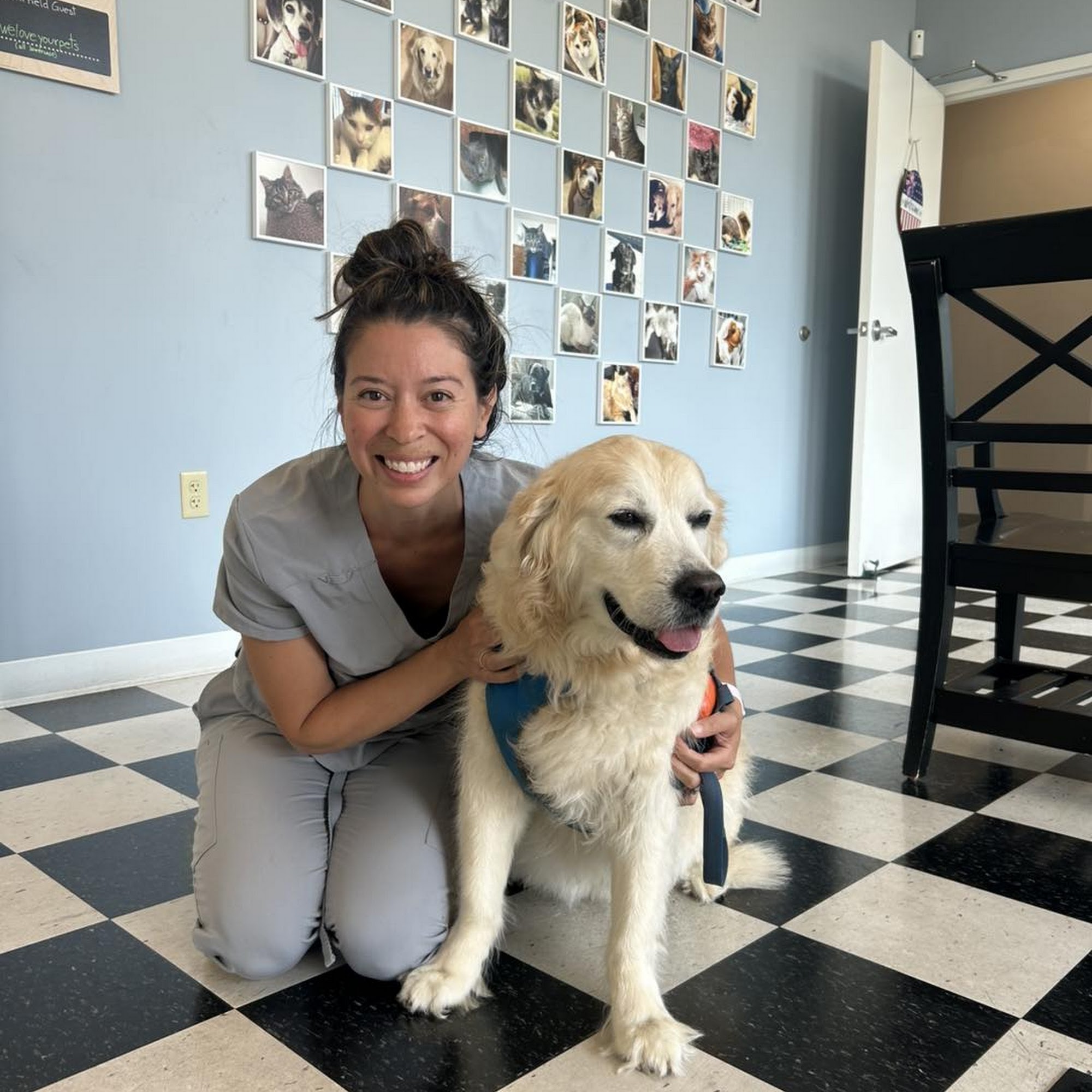 Muirfield Animal Hospital Dublin