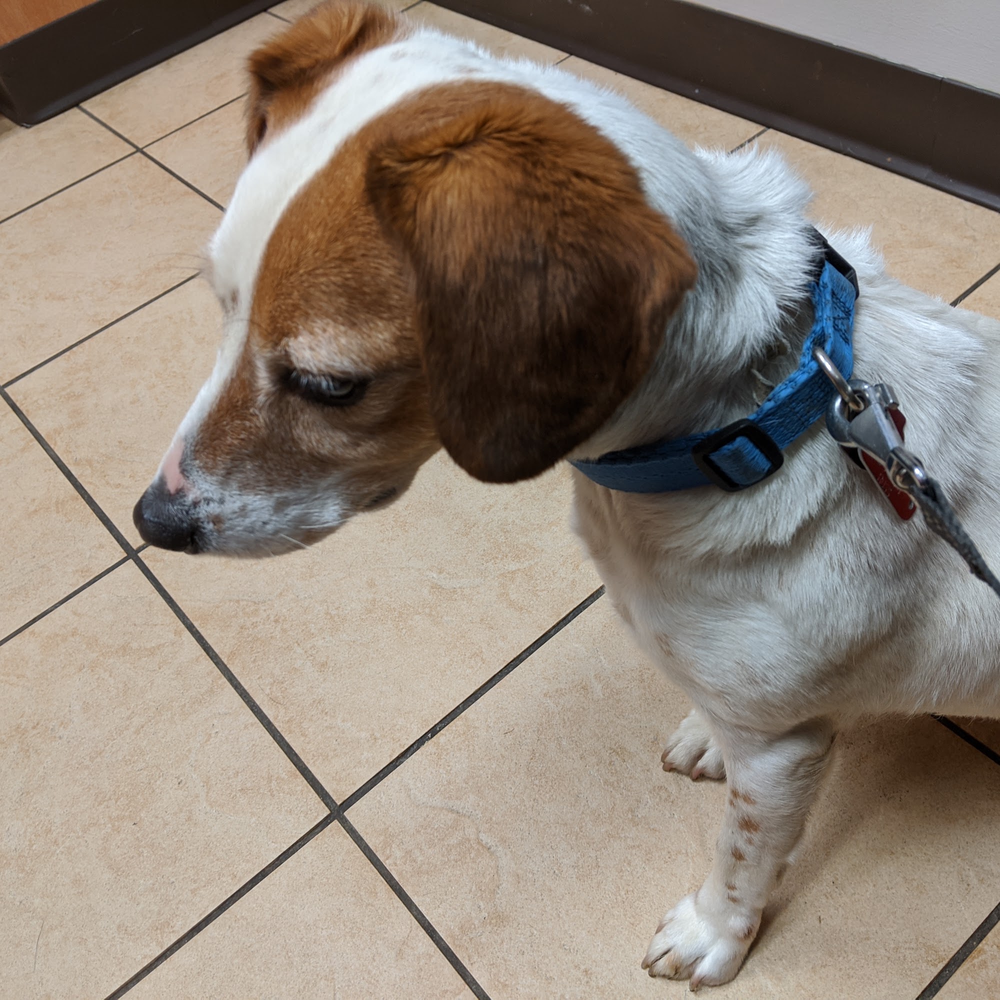 Riverside Animal Care Center: Wisecup M DVM Dublin