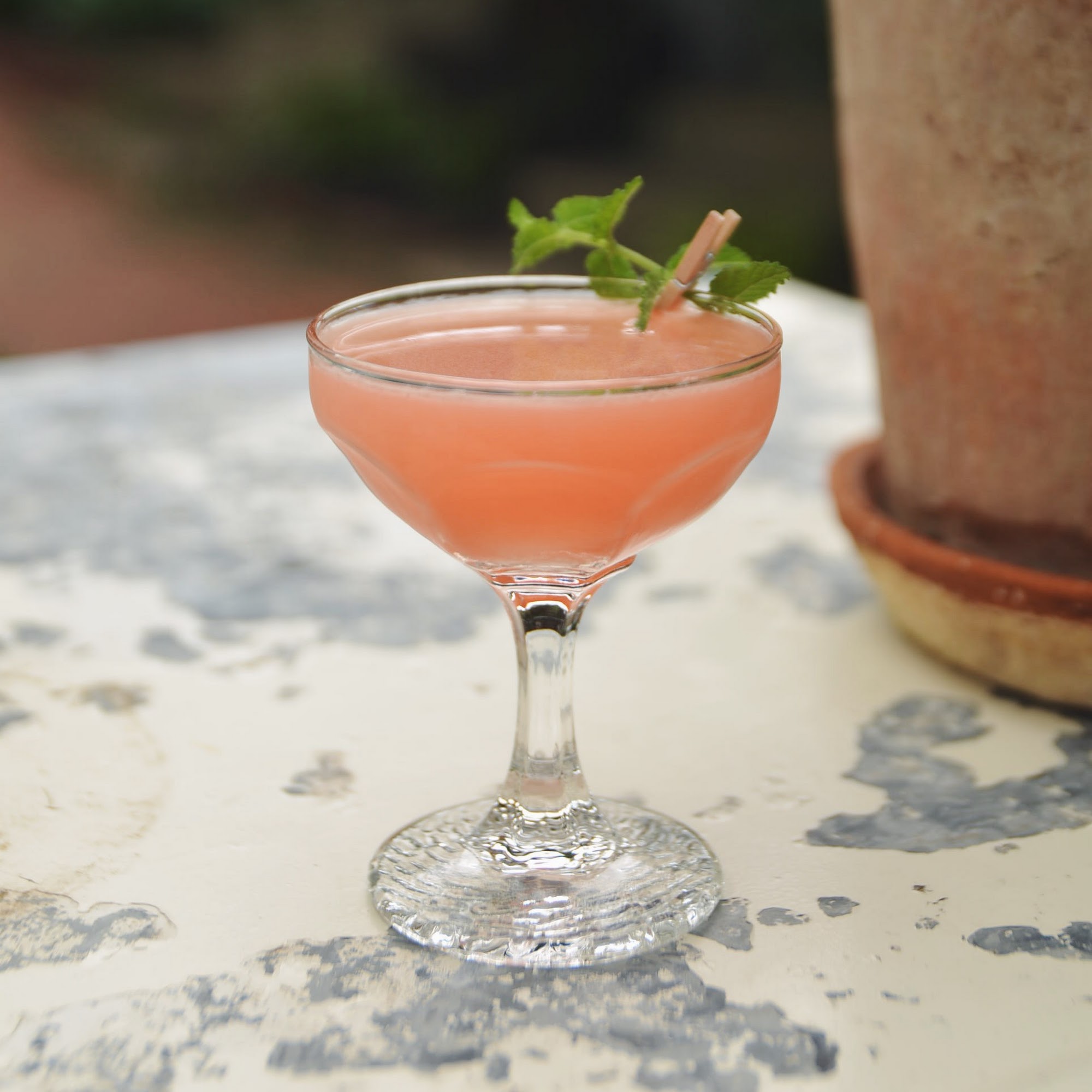 Coast Wine House Dublin