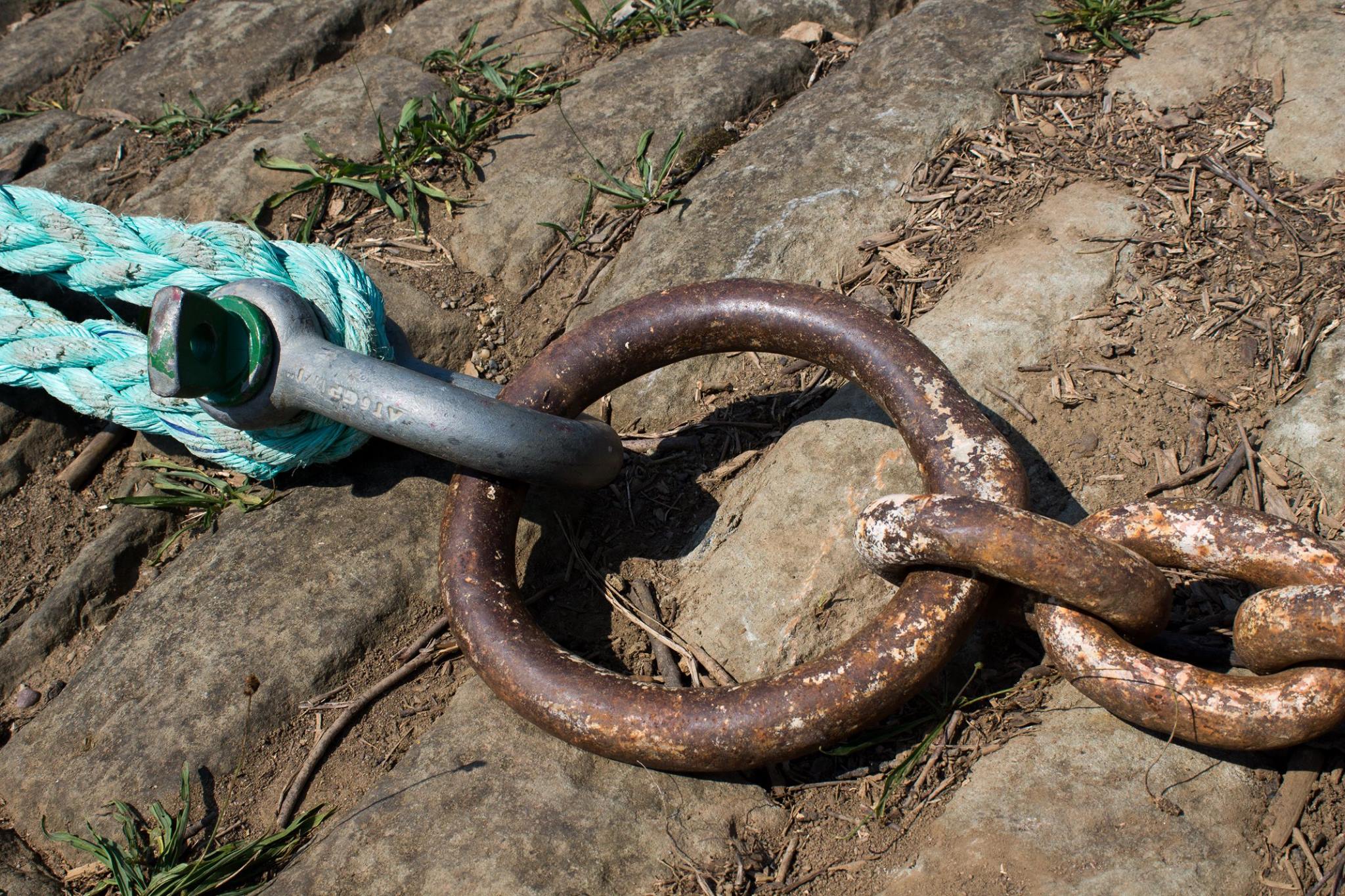 Pat Taylor Photography