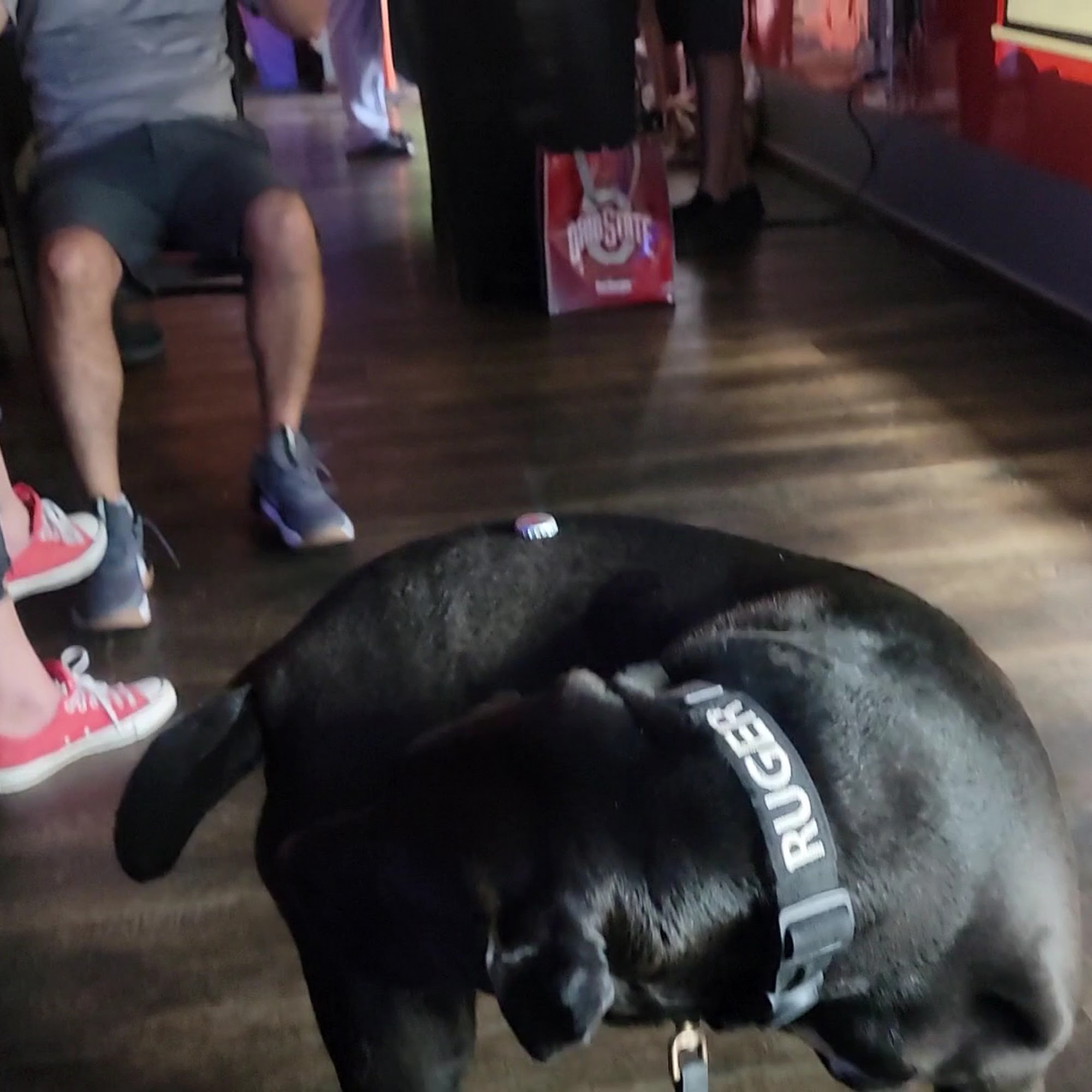 Dawg House Bar & Grill Elyria