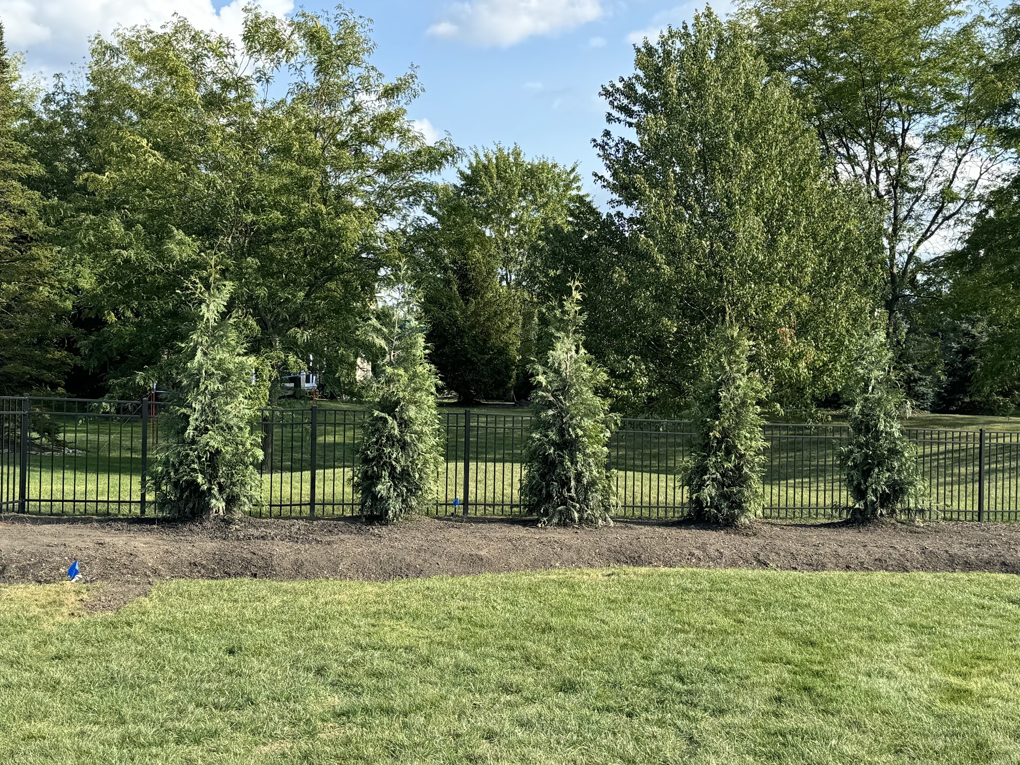 Turf Health Incorporated