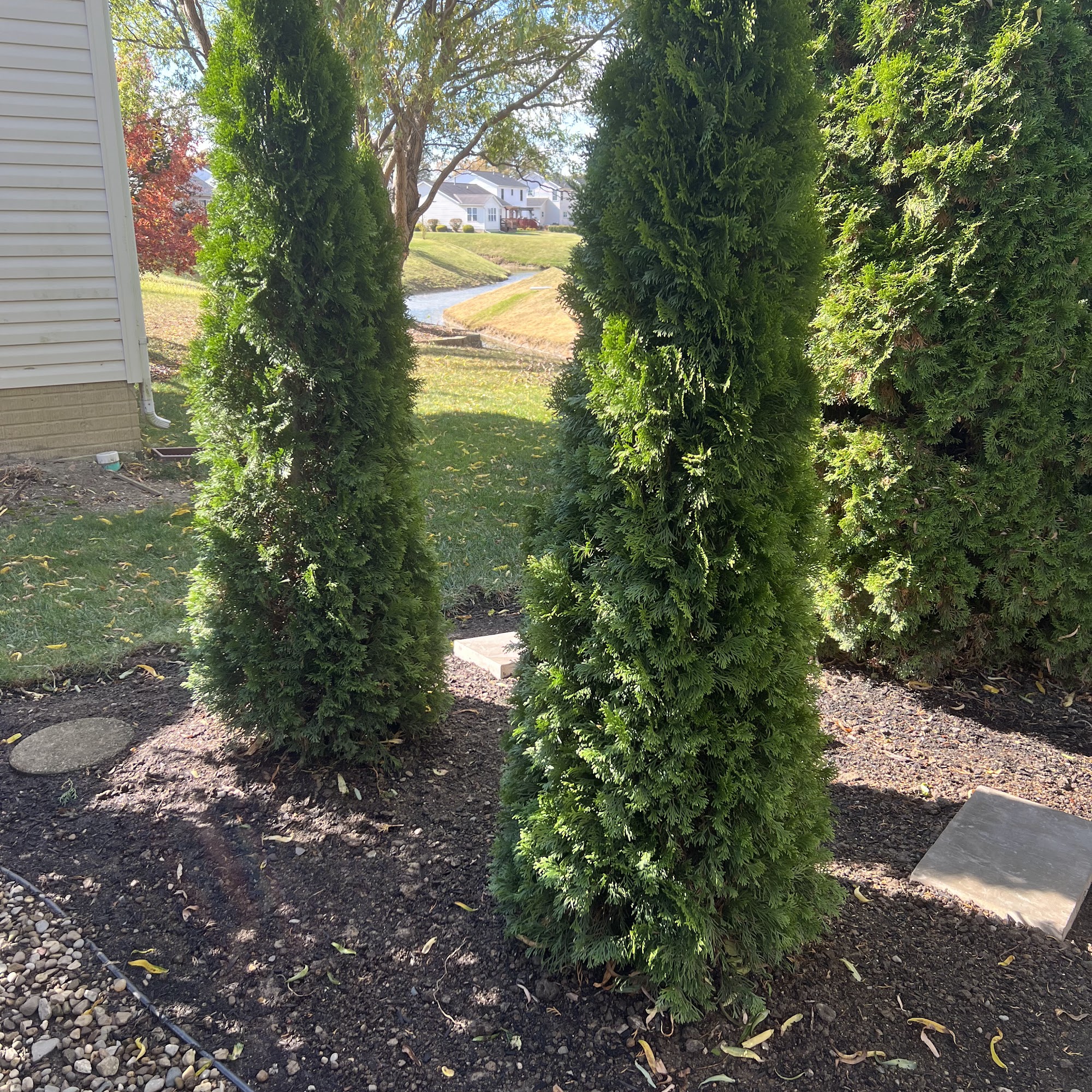 Turf Health Incorporated