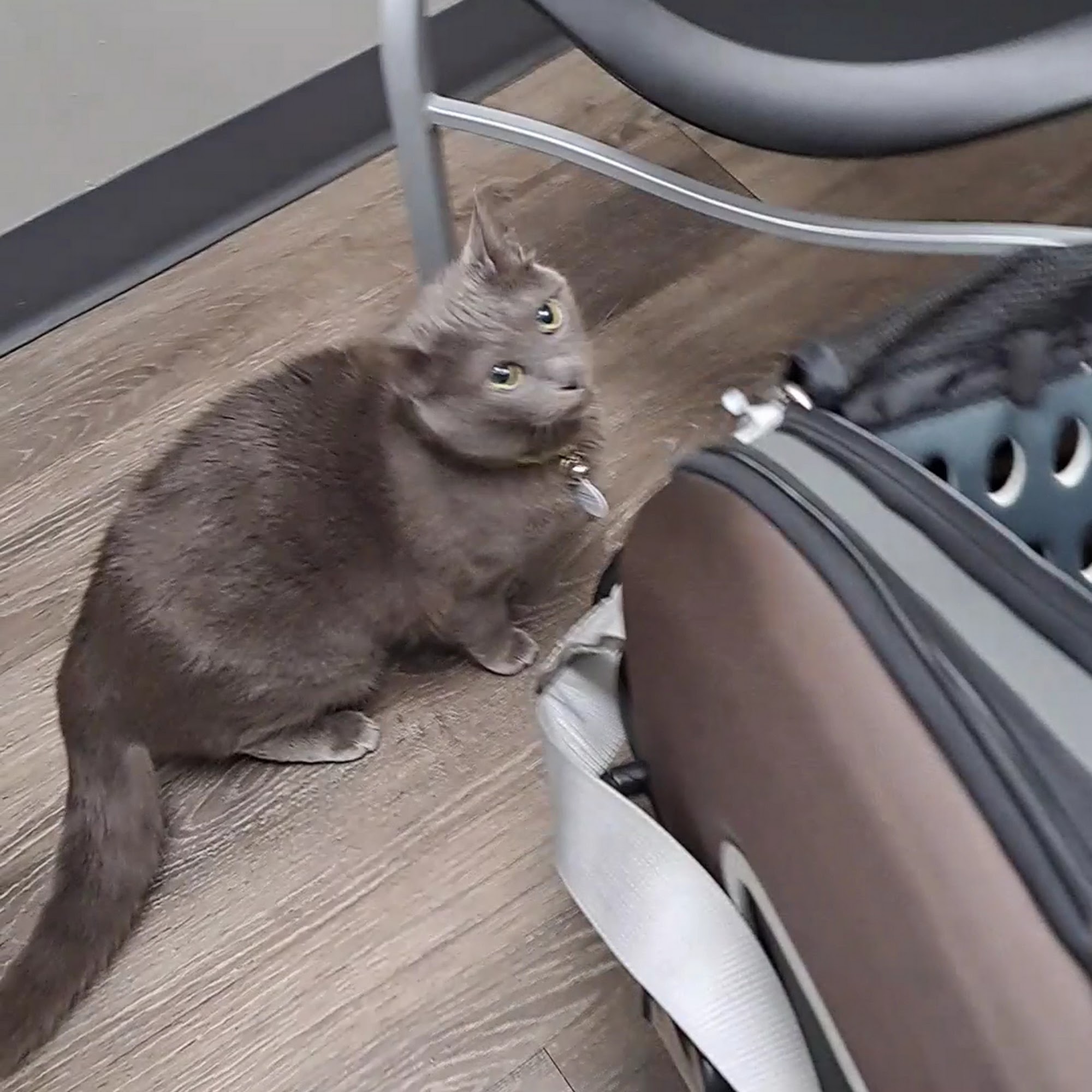 Enon Veterinary Hospital Enon