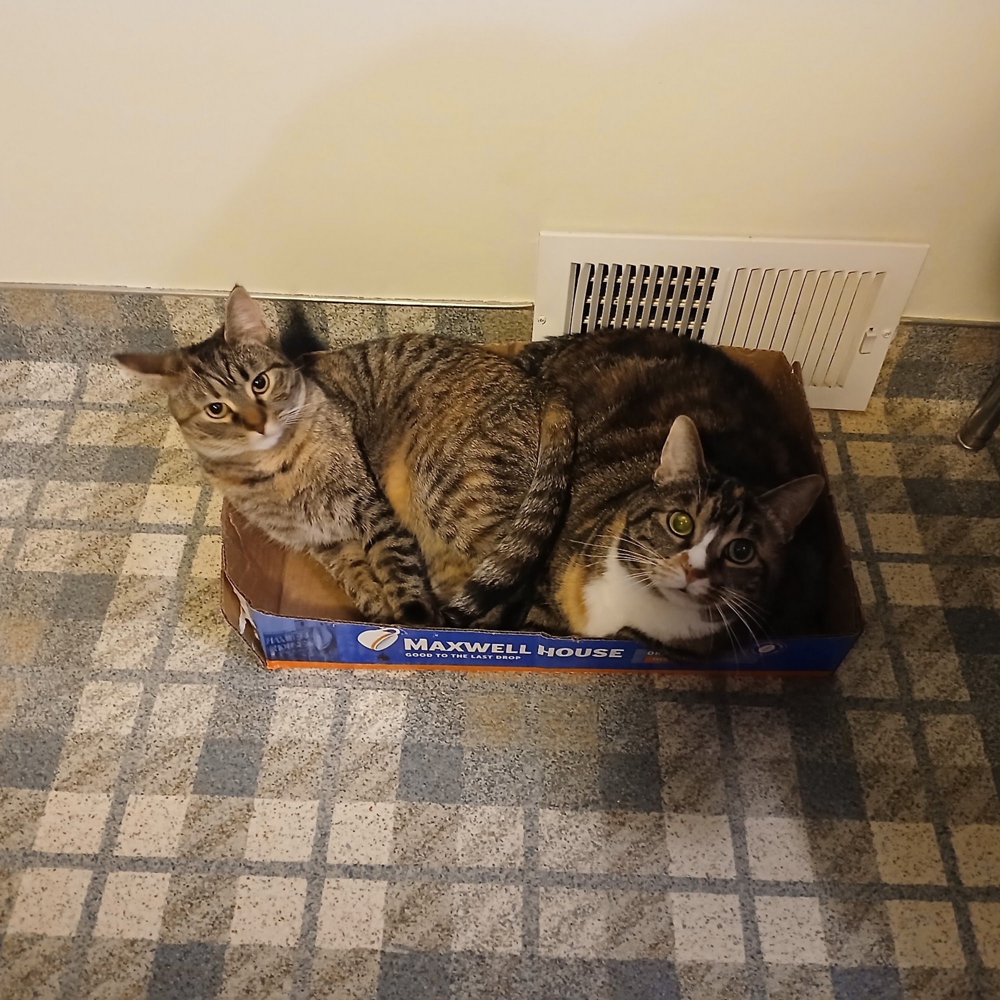 Beachland Animal Hospital Euclid