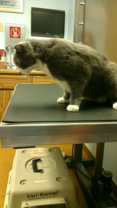 Fairborn Animal Hospital Fairborn