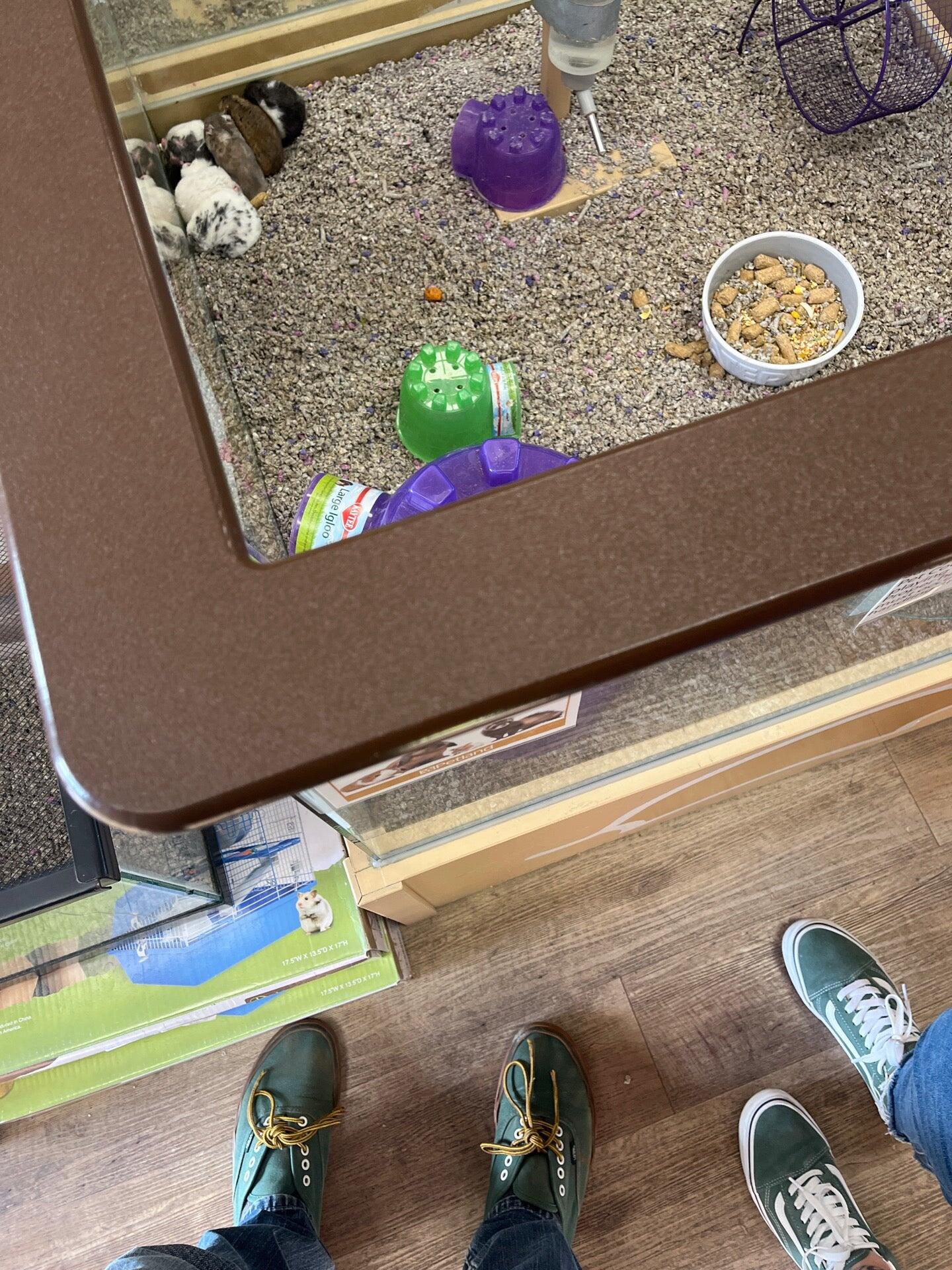 Petland Fairfield Fairfield