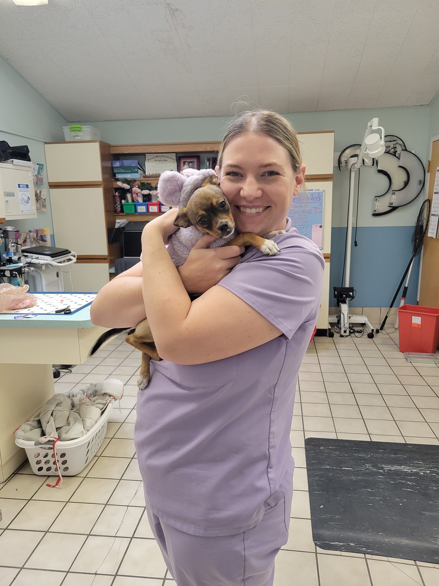 VCA Findlay Animal Care Center Findlay