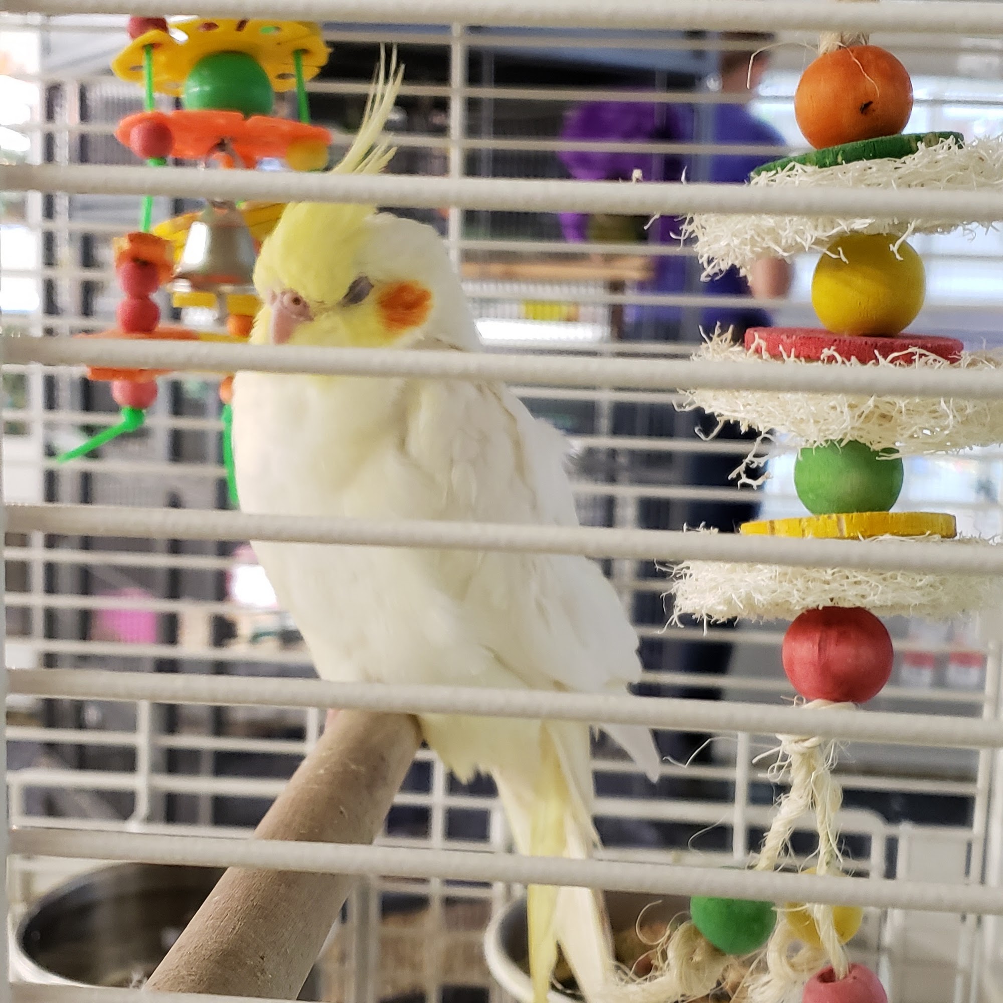 Pet Supplies Plus Findlay Findlay