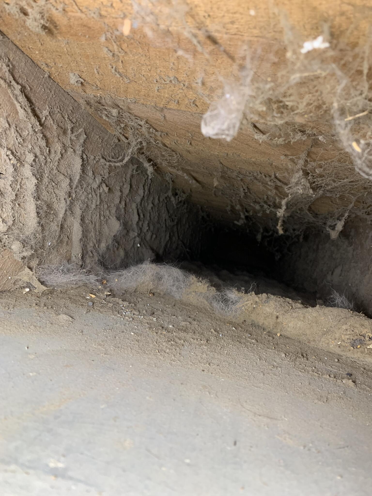 Stall Dryer vent Cleaning Services Findlay, OH