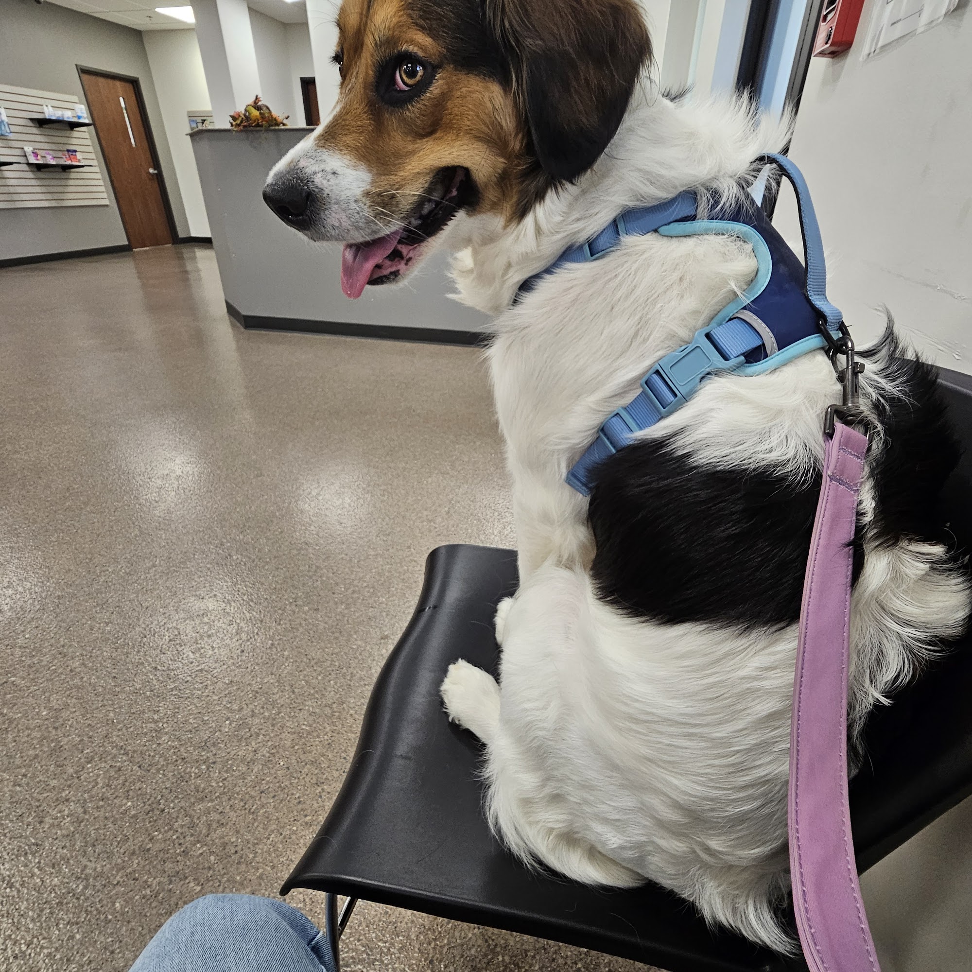 Tri County Veterinary Clinic Fostoria