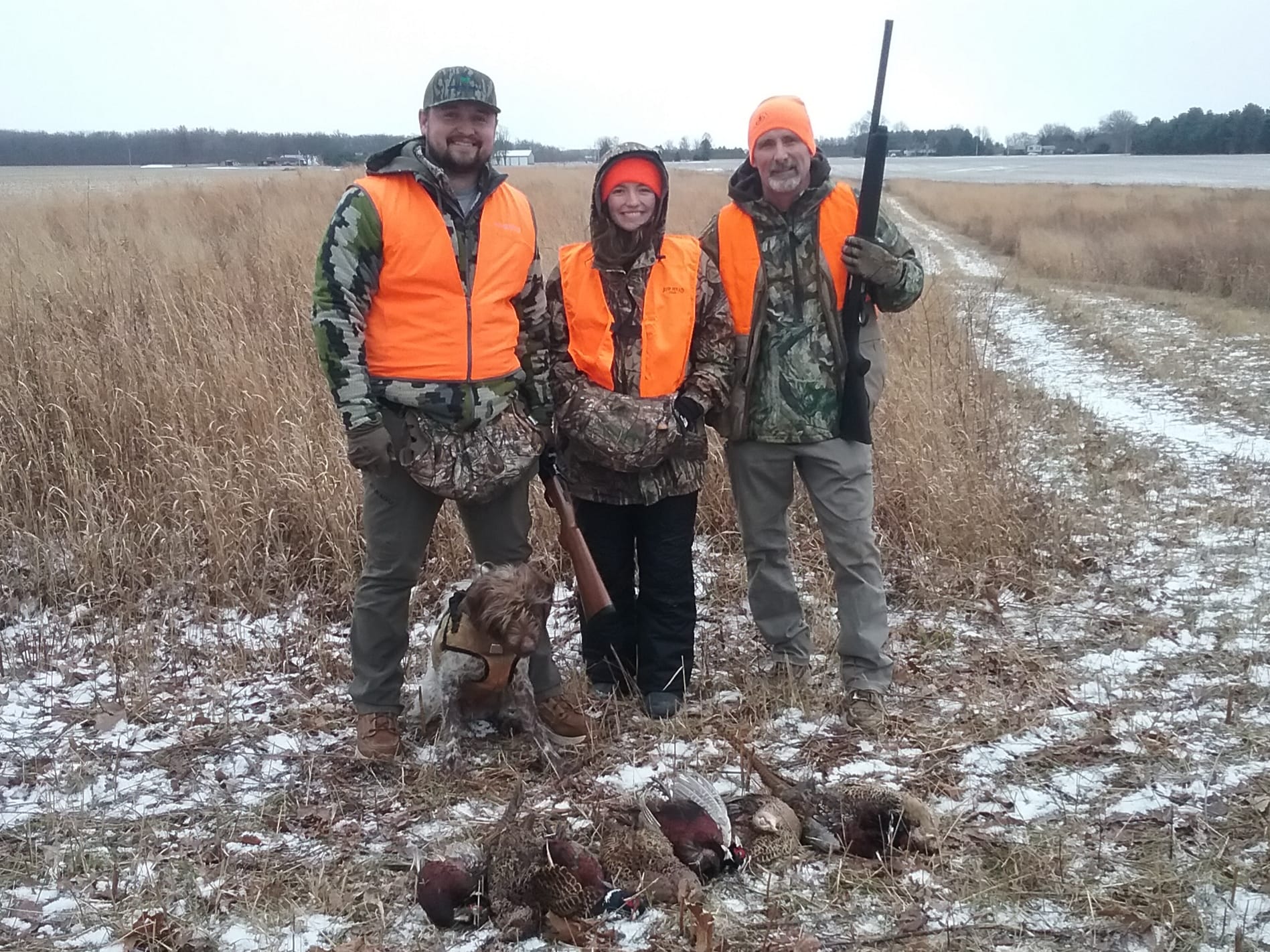 The Retriever Barn Fremont