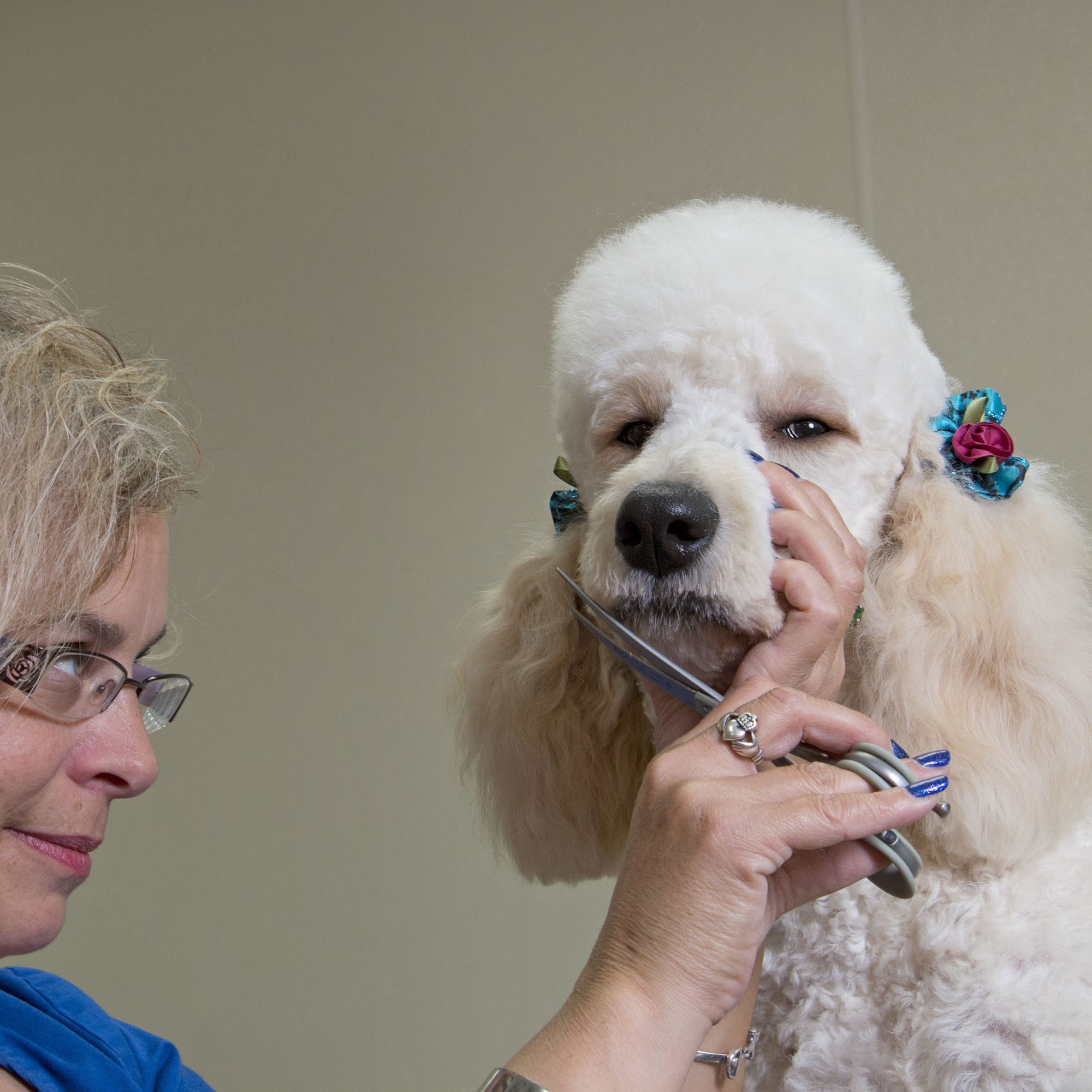 Gahanna Animal Hospital Gahanna