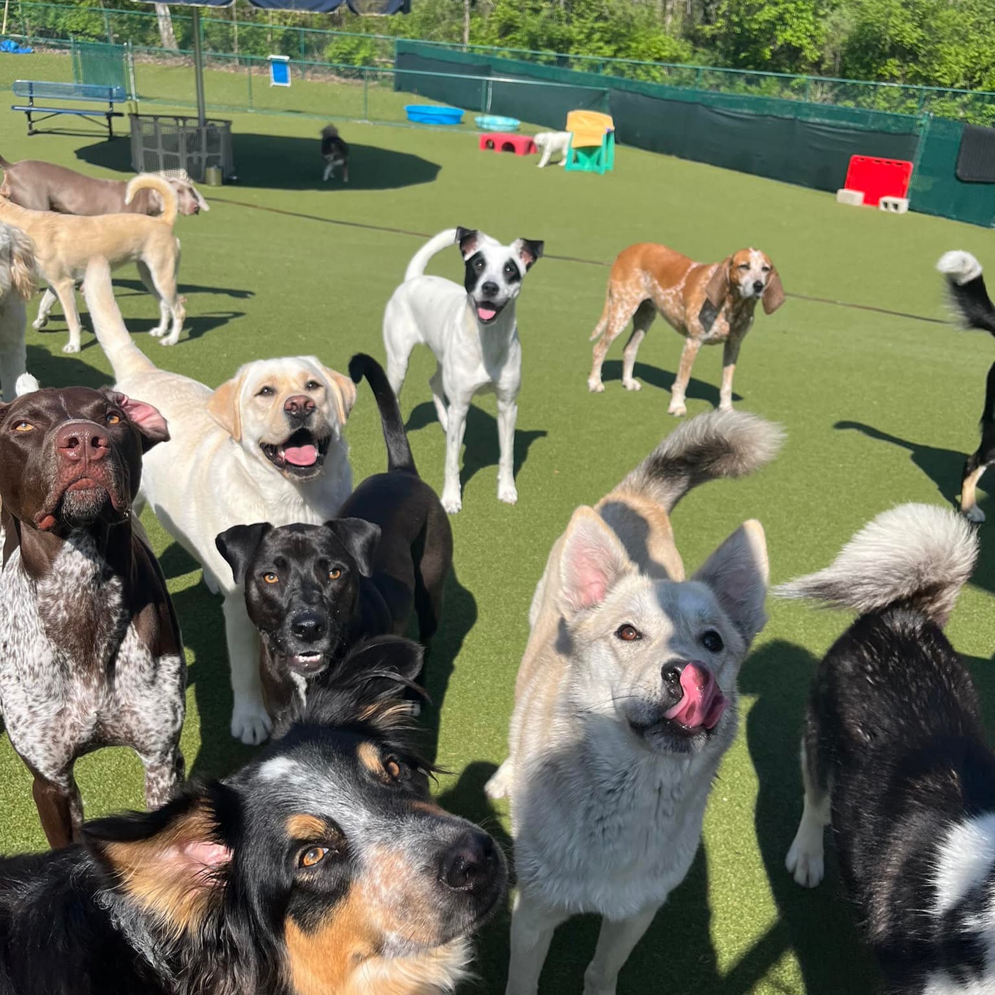 Animal Care Center at Cherry Way Gahanna