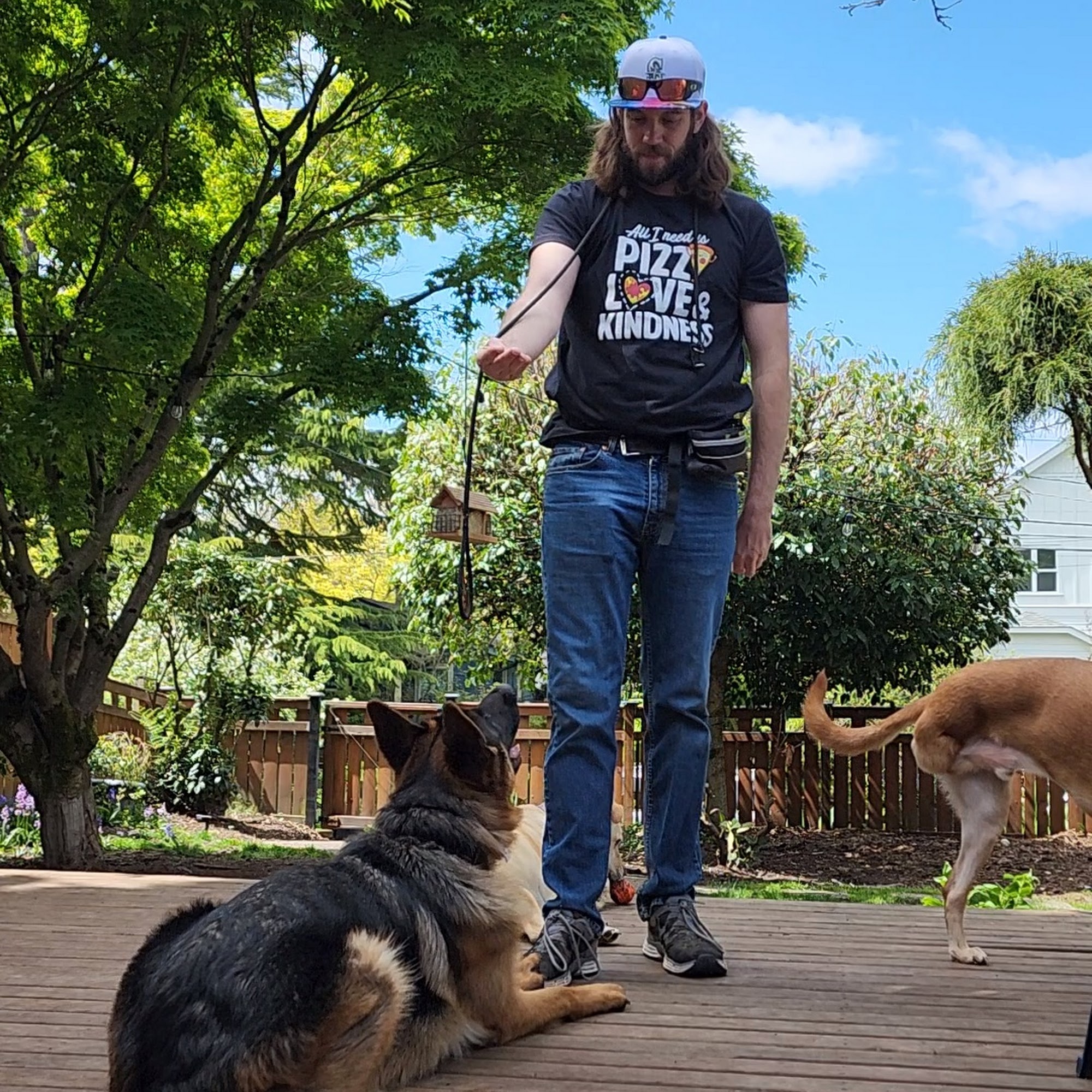 Wolfman's Canines Galena