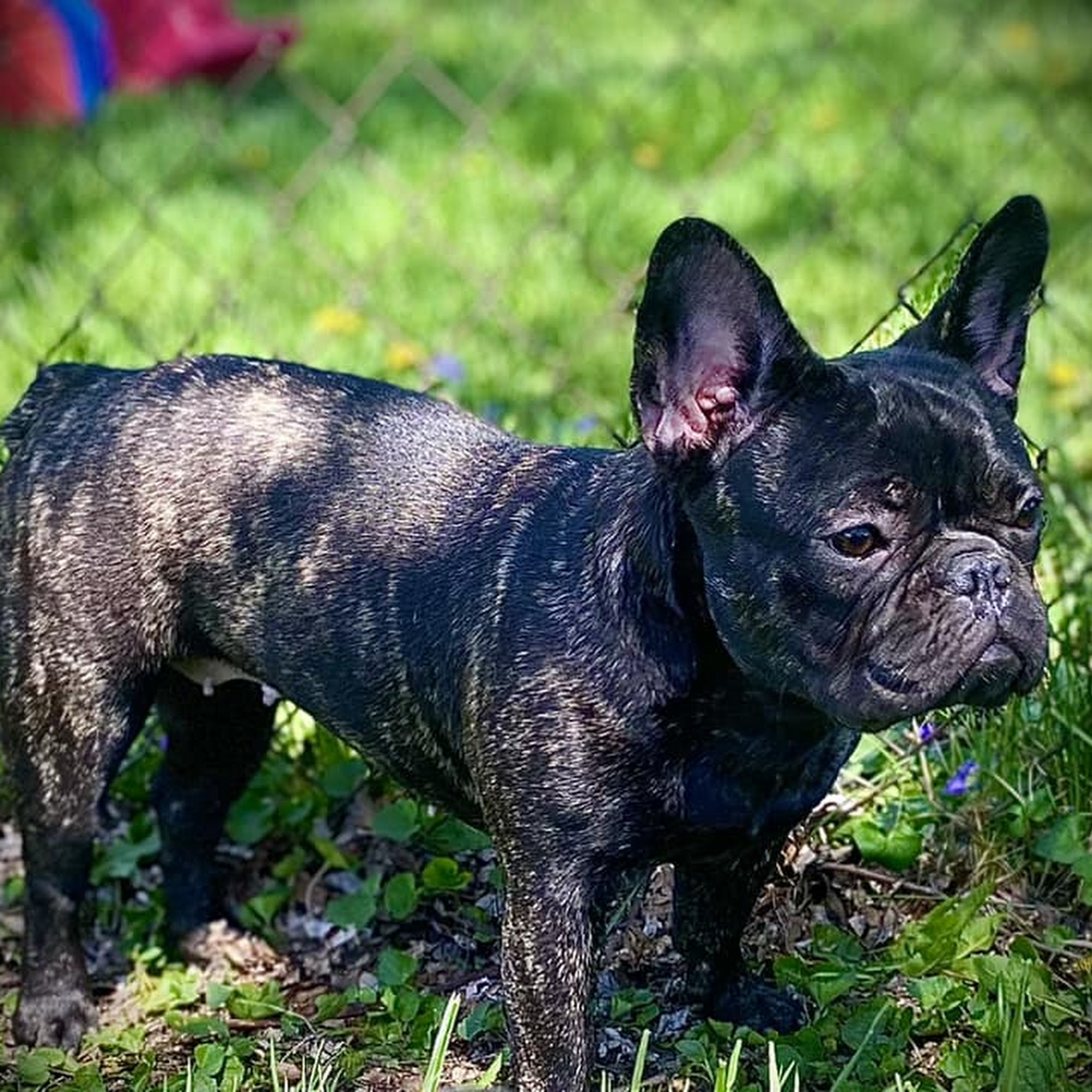 Horizon Animal Hospital Galion