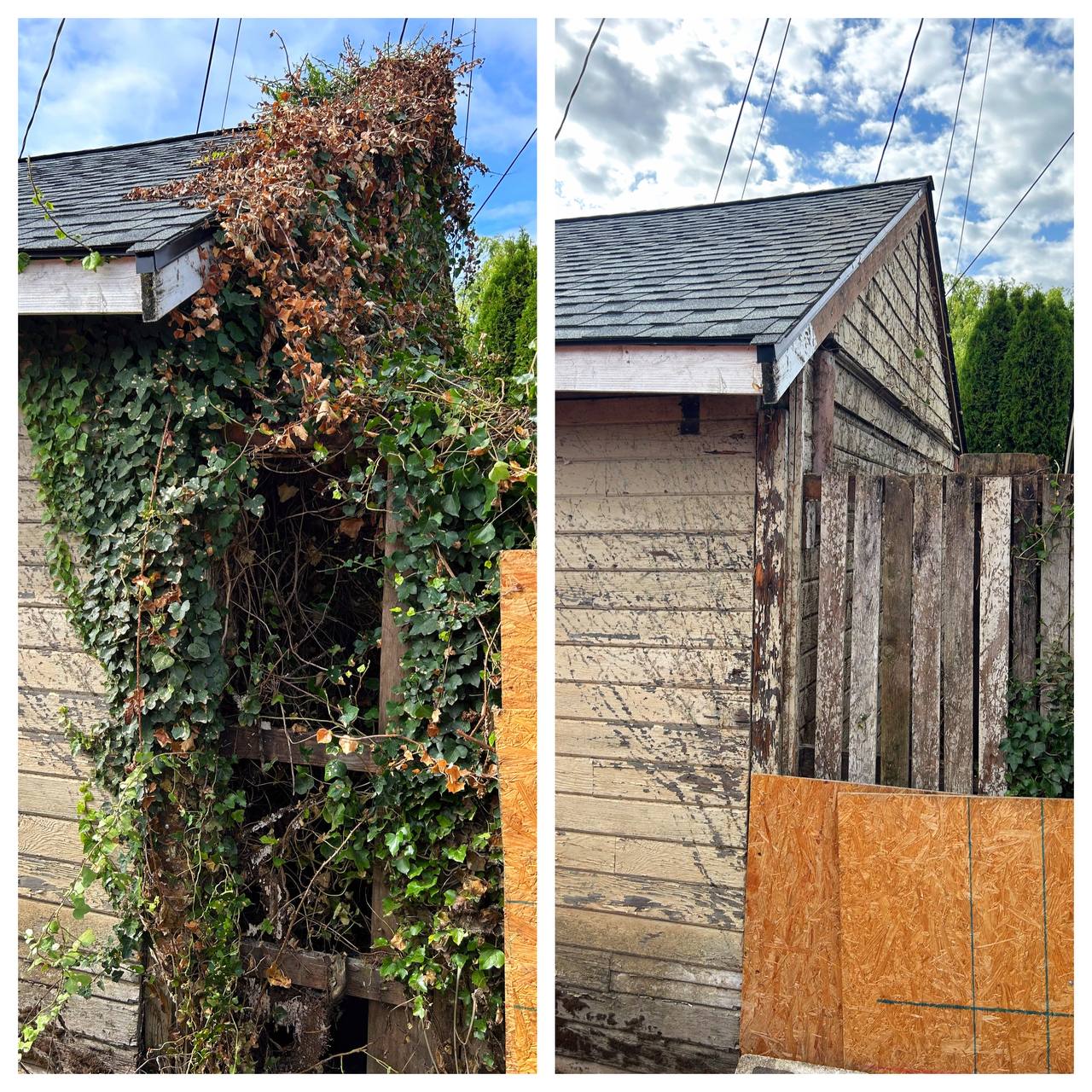Royal Landscaping-Gardening
