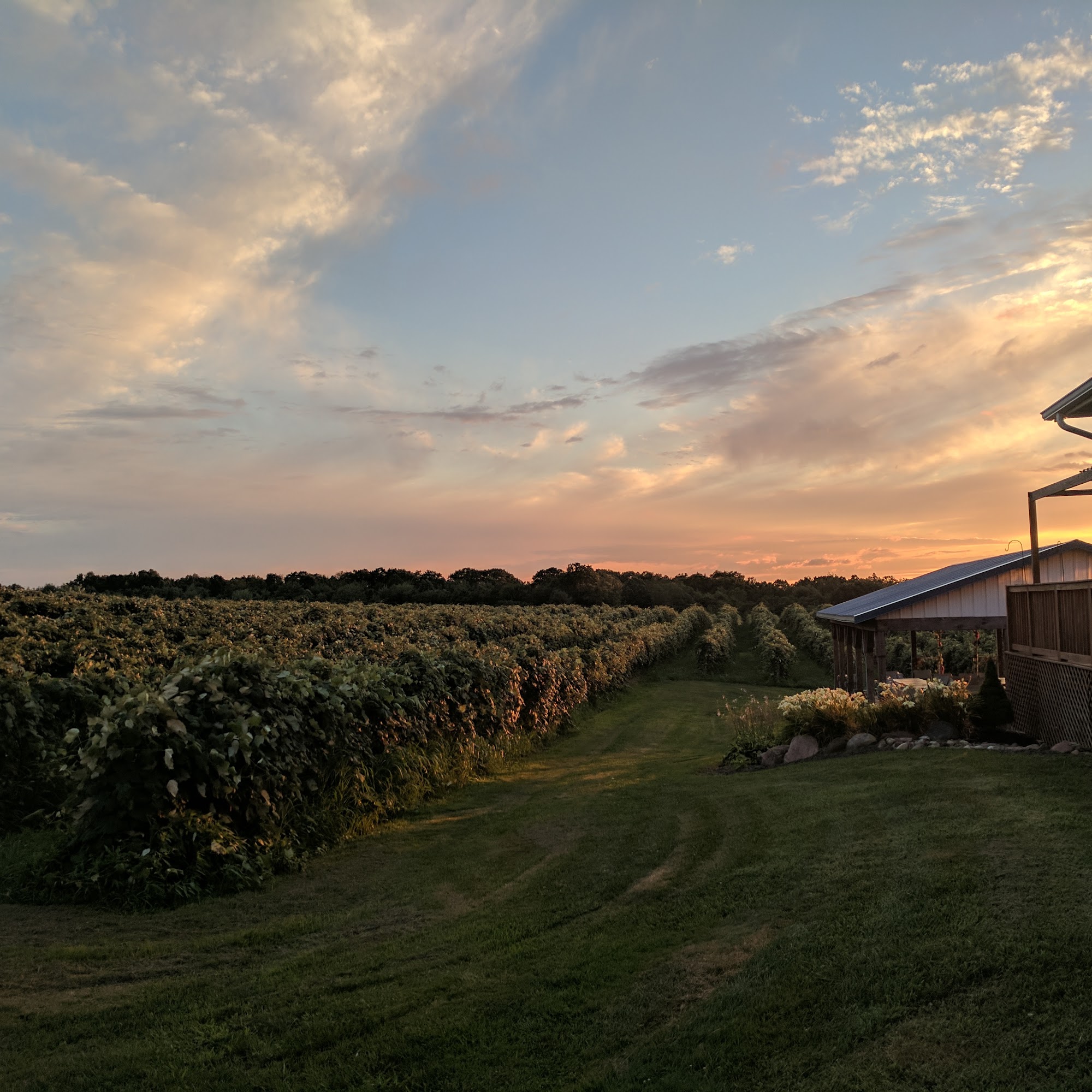 Virant Family Winery Inc Geneva