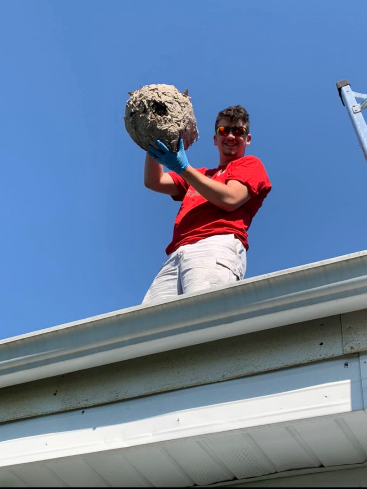 J & M Pest Control 114 W Howard St, Girard Ohio 44420