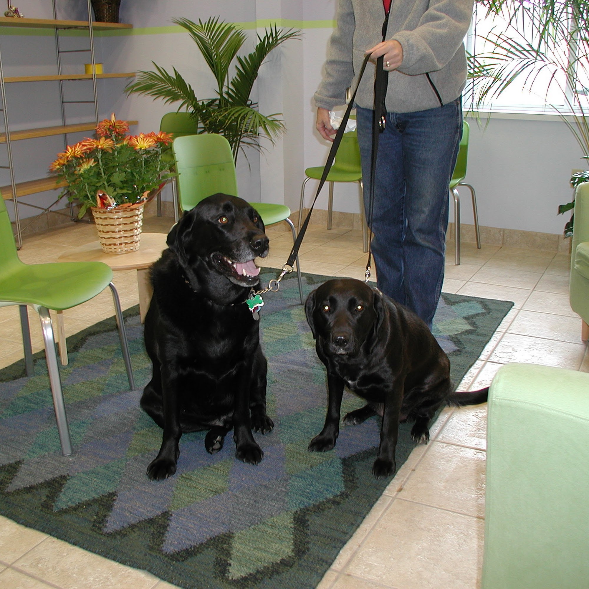 Forever Friends Pet Care Center & Hospital Grafton